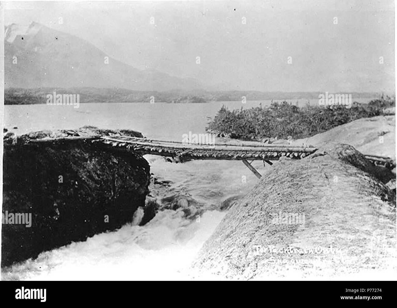 . Inglese: Ponte sul rapids al di sotto Lago Profondo, Bianco Pass Trail, British Columbia, ca. 1898. Inglese: didascalia sulla immagine: "Rapids al di sotto lago profondo. Per packtrains soltanto. Skagway Trail" Immagine originale in Hegg Album 9, pagina 16 . Klondike Gold Rush. Soggetti (LCTGM): Laghi--British Columbia; ponti--British Columbia; Rapids--British Columbia soggetti (LCSH): Lago Profondo (a.C.); Bianco Pass Trail; percorsi--British Columbia . circa 1898 2 Bridge over rapids al di sotto Lago Profondo, Bianco Pass Trail, British Columbia, ca 1898 (HEGG 22) Foto Stock