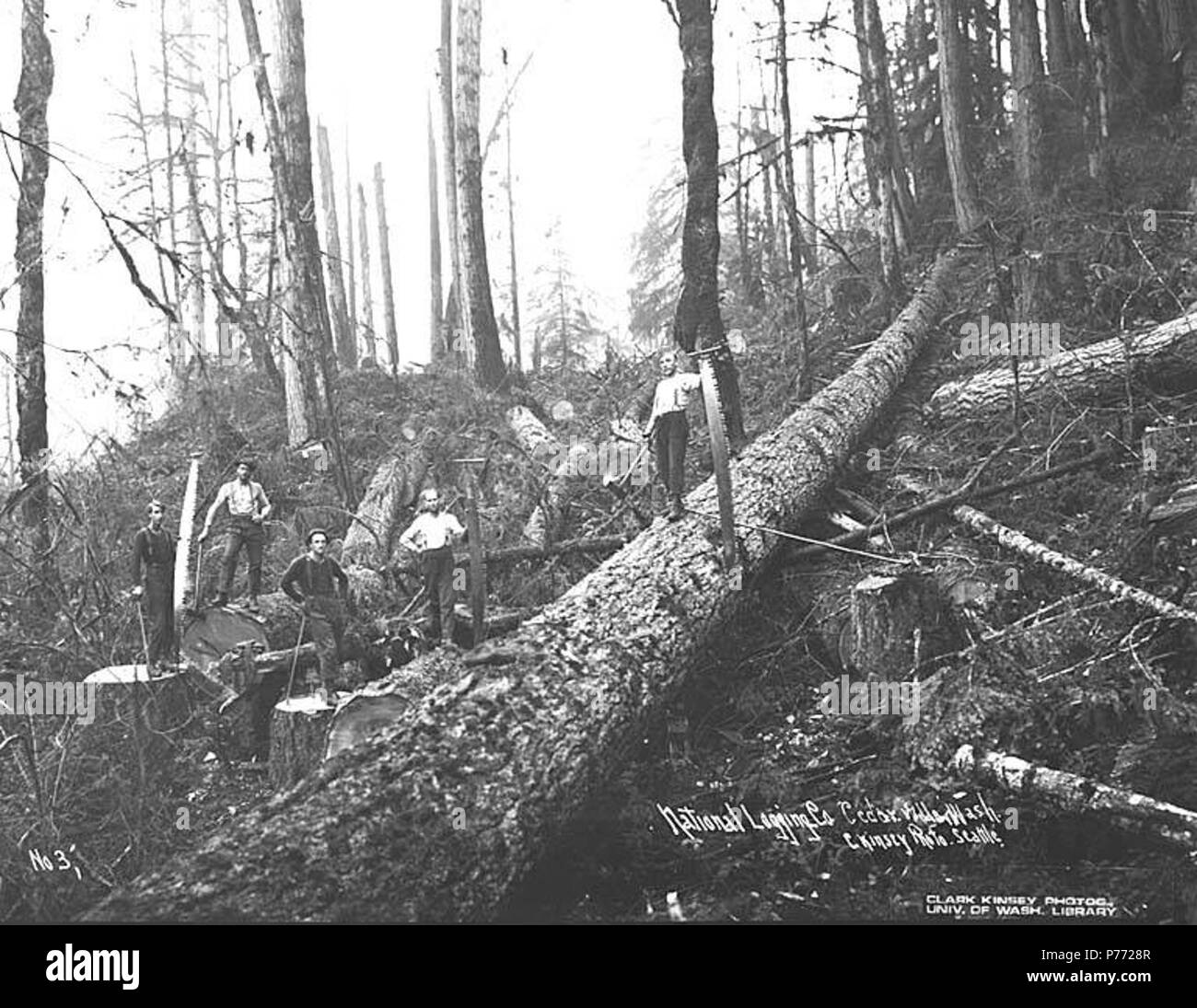 . Inglese: strappi equipaggio, legname nazionale e Manufacturing Company, ca. 1920 . Inglese: didascalia sull'immagine: registrazione nazionale Co., Cedarville, nello Stato di Washington C.Kinsey foto, Seattle. No. 3 PH Coll 516.2225 National Lumber & Manufacturing Company è stato in attività dal 1920 al 1927, con sede e mulino in Hoquiam e operazioni di registrazione prima di Cedarville e poi, dal 1924, in Elma. Legname nazionale è stata venduta a Polson legname Azienda nel 1927. Cedarville è un piccolo insediamento presso il fiume Chehalis, undici miglia a sudest di Elma, nel sud-est del porto di Gray County. Nel 1855, esso è stato stabilito quando una Foto Stock