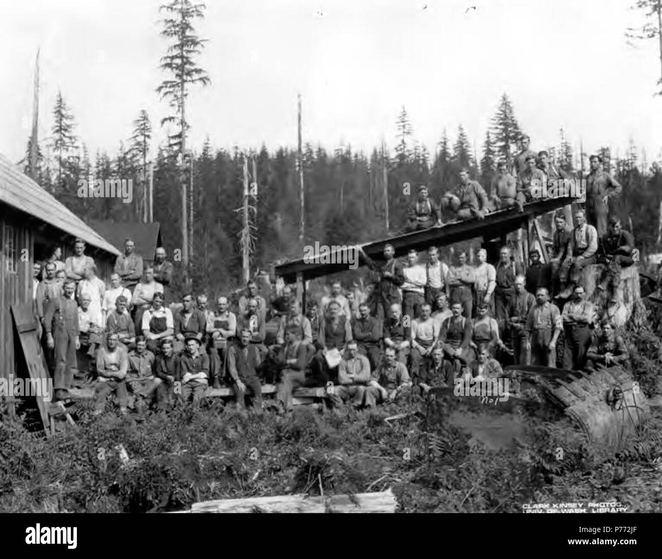 Inglese: didascalia sull'immagine: n. 1 PH Coll 516.4470 Il Twin Falls Logging Company è una società affiliata della Weyerhaeuser Timber Company formata in risposta al 1902 Yacolt Burn in a sudovest di Washington. La Weyerhaeuser possedeva diversi tratti di legname in 1902 quando l'incendio ha colpito. Il Twin Falls Logging Company è stata realizzata al fine di recuperare il legno bruciato, insieme con il Lago Fiume Società del braccio. Nel 1904, la preoccupazione sarebbe diventato denominato la contea di Clark Timber Company, con il Twin Falls Logging Company che serve come il braccio operativo e il Lago Fiume Boom società che serve come parte responsabile Foto Stock