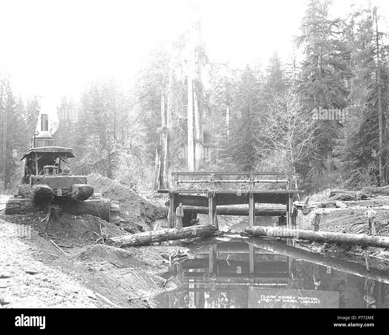 . Inglese: equipaggio con motore di asino e diga cancello sul flusso, Wynooche Timber Company, ca. 1921 . Inglese: didascalia sull'immagine: Wynoche Log. Co. C. Kinsey foto. No. 3 PH Coll 516.5196 Il Wynooche Timber Company ha iniziato le operazioni di ca. 1913 con sede a Hoquiam e operazioni di registrazione in Montesano. È stato chiamato con il nome di Valle Wynooche nella zona nord-est di Grays Harbor County. Wynooche Timber Company è stato comprato dalla Schafer Fratelli Logging Company ca. 1927. Soggetti (LCTGM): Flussi--Washington (stato); asini Diesel--Washington (stato); Logger; Wynooche Timber Company - attrezzature e forniture--Washington Foto Stock