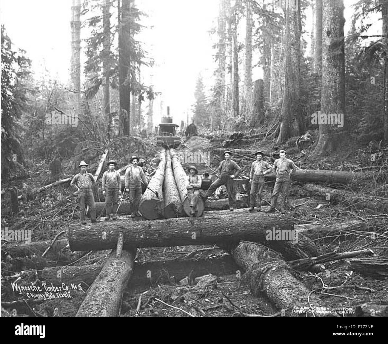 . Inglese: equipaggio con log skidway sotto costruzione e motore di asino in distanza, Wynooche Timber Company, ca. 1921 . Inglese: didascalia sull'immagine: Wynooche Timber Co. C. Kinsey foto, Seattle. No. 5 PH Coll 516.5222 Il Wynooche Timber Company ha iniziato le operazioni di ca. 1913 con sede a Hoquiam e operazioni di registrazione in Montesano. È stato chiamato con il nome di Valle Wynooche nella zona nord-est di Grays Harbor County. Wynooche Timber Company è stato comprato dalla Schafer Fratelli Logging Company ca. 1927.. Lo skid road, o skidway, è stato costruito da dieci piedi registri, 10 a 20 pollici in diametro e i registri sono stati spazio Foto Stock