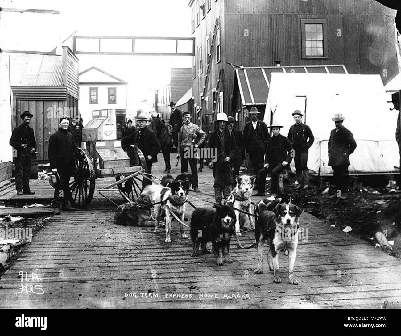 . Inglese: un cane trasporta un carrello su un marciapiede in legno, Nome, Alaska, ca. 1900. Inglese: didascalia sull'immagine: 'Dog team Express. Nome Alaska" Immagine originale in Hegg Album 11, pagina 38 . Fotografia originale da Eric A. Hegg 1238; copiati da Webster e Stevens 91.A . Nome Gold Rush. Soggetti (LCTGM): squadre di cani -- Alaska--Nome; carrelli e carri--Alaska--Nome; marciapiedi--Alaska--Nome . circa 1900 3 team cane trasporta un carrello su un marciapiede in legno, Nome, Alaska, ca 1900 (HEGG 99) Foto Stock