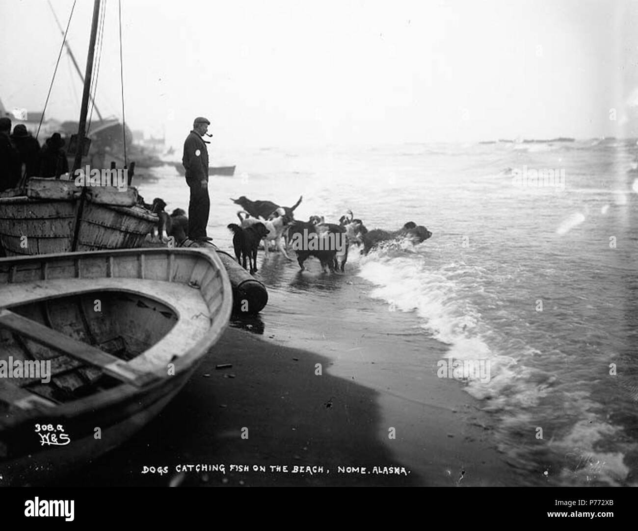 . Inglese: cani per la cattura di pesce nel surf sulla spiaggia di nome, Alaska, ca. 1900. Inglese: didascalia sull'immagine: 'Dogs la cattura di pesce sulla spiaggia, Nome, Alaska" Immagine originale in Hegg Album 11, pagina 48 . Fotografia originale da Eric A. Hegg 1362; copiati da Webster e Stevens 308.A. Soggetti (LCTGM): Cani -- Alaska--Nome; imbarcazioni a remi--Alaska--Nome soggetti (LCSH): Nome (Alaska) . circa 1900 3 cani per la cattura di pesce nel surf sulla spiaggia di nome, Alaska, ca 1900 (HEGG 220) Foto Stock