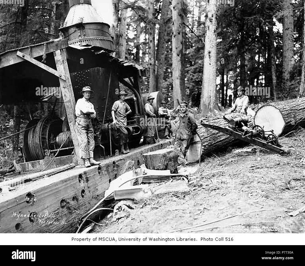 . Inglese: Asino motore ed equipaggio, con gas powered vide utilizzato per il taglio di legno per combustibile, Wynooche Timber Company, vicino Montesano, ca. 1921 . Inglese: didascalia sull'immagine: Wynoche Log. Co., Montesano, Wn. No. 56 PH Coll 516.5153 Il Wynooche Timber Company ha iniziato le operazioni di ca. 1913 con sede a Hoquiam e operazioni di registrazione in Montesano. È stato chiamato con il nome di Valle Wynooche nella zona nord-est di Grays Harbor County. Wynooche Timber Company è stato comprato dalla Schafer Fratelli Logging Company ca. 1927. Montesano, la sede della contea di Grays Harbor County, è otto miglia a est di Aberdeen sul fiume Chehalis Foto Stock