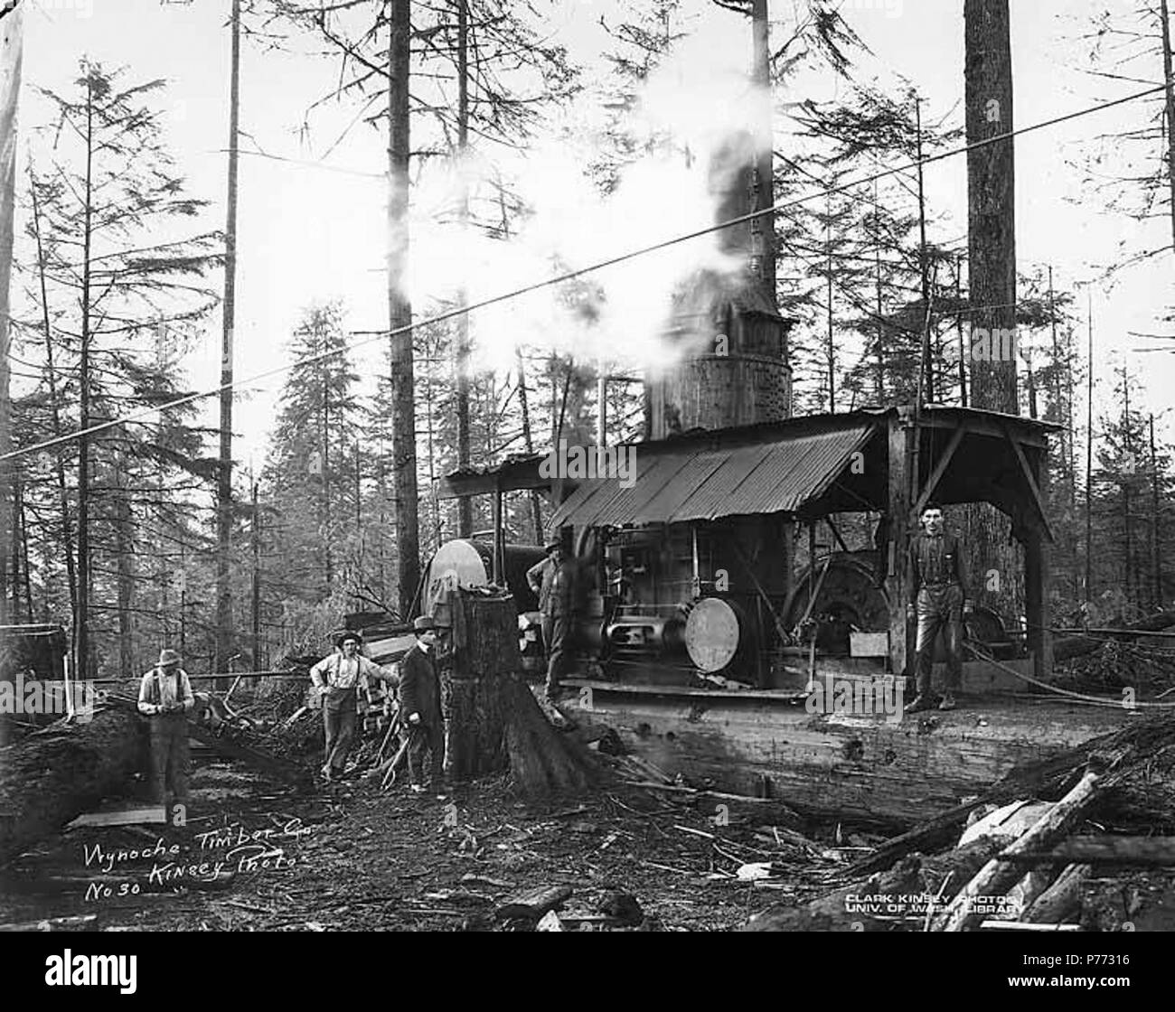 . Inglese: Asino motore con equipaggio e un uomo in tuta, Wynooche Timber Company, probabilmente in Grays Harbor County, ca. 1921 . Inglese: didascalia sull'immagine: Wynoche Timber Co. Kinsey foto. No. 30 PH Coll 516.5201 Il Wynooche Timber Company ha iniziato le operazioni di ca. 1913 con sede a Hoquiam e operazioni di registrazione in Montesano. È stato chiamato con il nome di Valle Wynooche nella zona nord-est di Grays Harbor County. Wynooche Timber Company è stato comprato dalla Schafer Fratelli Logging Company ca. 1927. Soggetti (LCTGM): vapore asini--Washington (stato); registratori di fuelwood;--Washington (stato); gli uomini--Washington (stato); Su Foto Stock