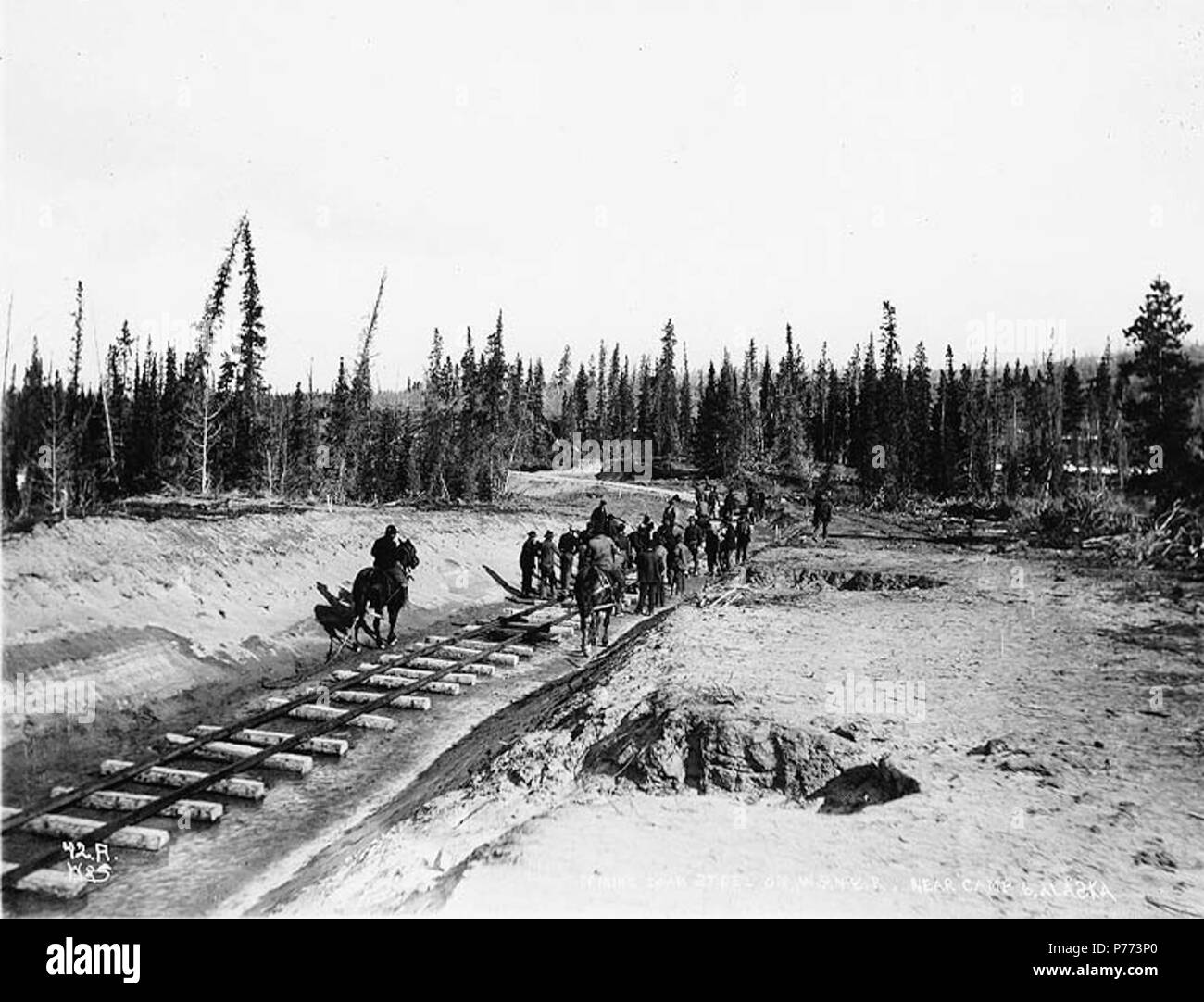 . Inglese: posa via vicino a camp 6 a White Pass summit per il White Pass & Yukon Railroad, Alaska, ca. 1898. Inglese: didascalia sull'immagine: 'Spiking giù su acciaio W.P. & Y. R. vicino a camp 6, Alaska." Immagine originale in Hegg Album 3, pagina 42 . Fotografia originale da Eric A. Hegg 753; copiati da Webster e Stevens 42.A. Soggetti (LCTGM): ferrovia Costruzione & Manutenzione--Alaska--Pass bianco; i binari della ferrovia--Alaska--Pass bianco; Railroad lavoratori edili--Alaska--Pass bianco; cavalli--Alaska--Pass bianco soggetti (LCSH): Pass bianco (a.C.); valichi di montagna--Alaska; White Pass & Yukon Route (Azienda) Foto Stock