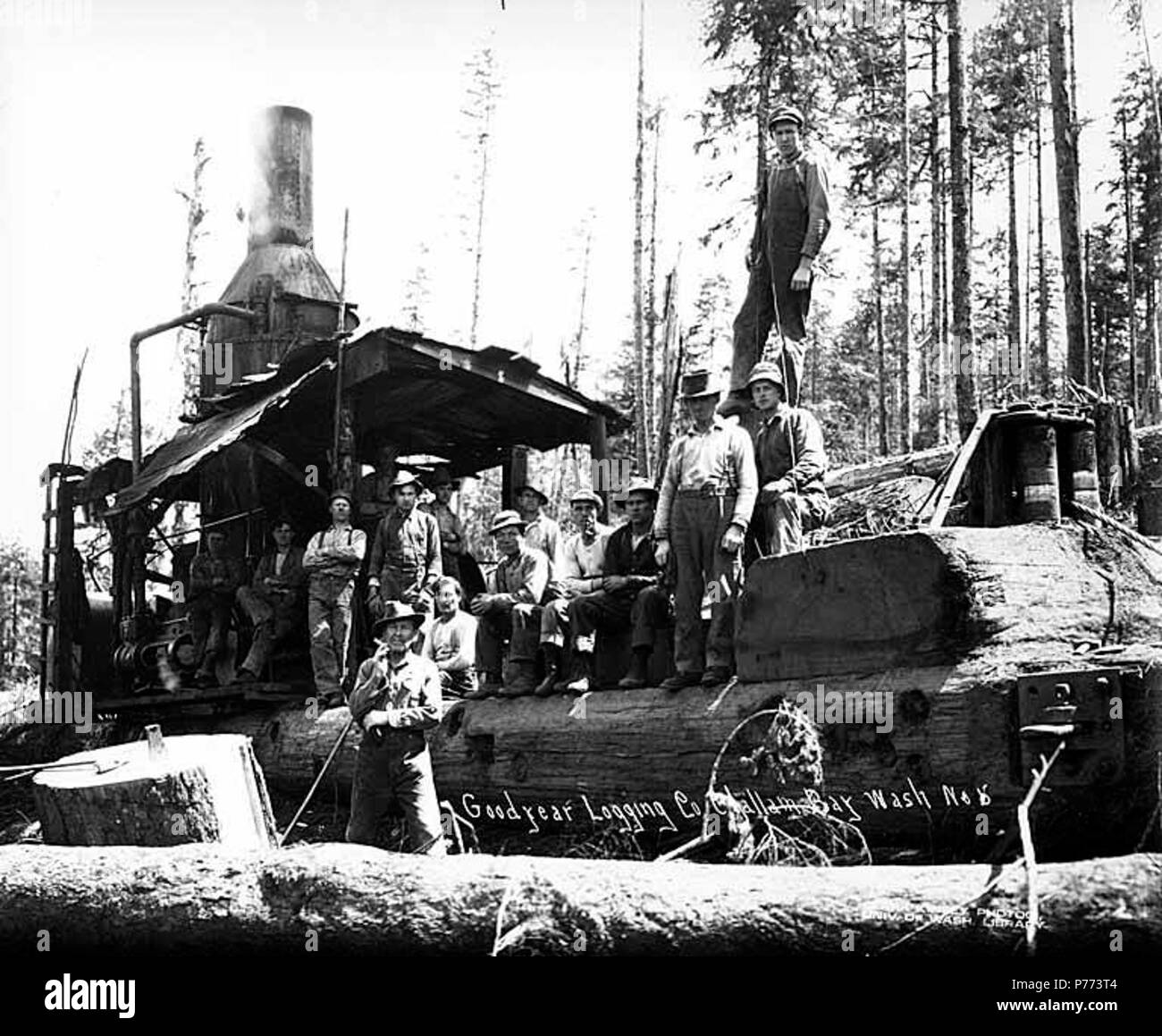 . Inglese: Caricamento di equipaggio e motore di asino, Goodyear Logging Company, vicino Clallam Bay, ca. 1920 . Inglese: didascalia sull'immagine: Goodyear Logging Co., Clallam Bay, nello Stato di Washington No. 5 PH Coll 516.1388 Il Goodyear Logging Company è stata in business da ca. 1915 a ca. 1924, con sede a Clallam Bay. Nel 1922, vi erano 175 dipendenti. Clallam Bay è una comunità sulla sponda orientale della baia di Clallam, stretto di Juan de Fuca, nel nord-ovest della contea di Clallam. È stato chiamato con il nome di Baia, che è stato elencato su British Admiralty grafici nel 1846 da Capt. Henry Kellet come Callam, la sua versione anglicizzata del nome indiano. Il n Foto Stock