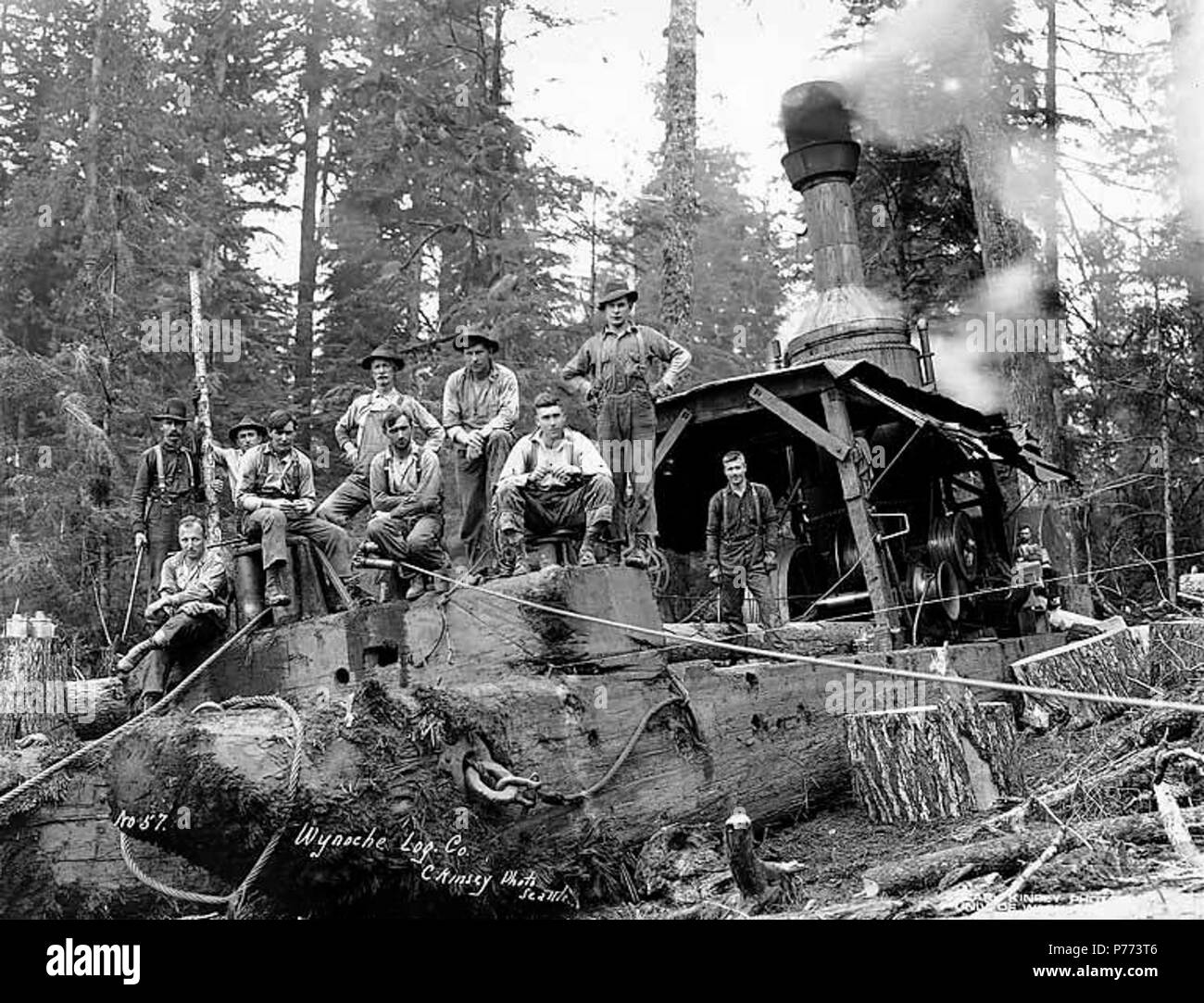 . Inglese: Caricamento di equipaggio e motore di asino, Wynooche Timber Company, vicino Montesano, ca. 1921 . Inglese: didascalia sull'immagine: Wynoche Log. co. C. Kinsey foto, Seattle. No. 57 PH Coll 516.5154 Il Wynooche Timber Company ha iniziato le operazioni di ca. 1913 con sede a Hoquiam e operazioni di registrazione in Montesano. È stato chiamato con il nome di Valle Wynooche nella zona nord-est di Grays Harbor County. Wynooche Timber Company è stato comprato dalla Schafer Fratelli Logging Company ca. 1927. Montesano, la sede della contea di Grays Harbor County, è otto miglia a est di Aberdeen sul fiume Chehalis vicino alla bocca del fiume Wynooche ho Foto Stock