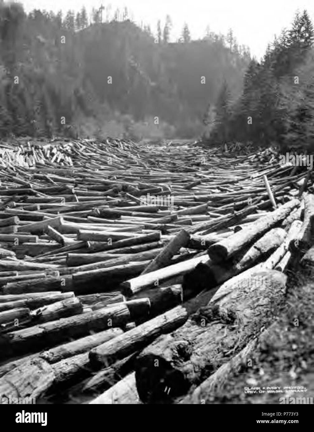 . Inglese: Log Jam, Smith poteri Logging Company, poteri, ca. 1922 . Inglese: didascalia sull'immagine: 11 PH Coll 516.4063 Il Smith-Powers Logging Company è stata fondata nei primi anni del ventesimo secolo in Coos County, Oregon. La città di poteri è stato chiamato con il nome di Albert H. poteri nel 1914. Poteri è servita come vice presidente e general manager della Smith-Powers Logging Company, che è servita come una filiale a c.a. Smith Lumber Company. Poteri è nato nel 1861 in Ontario e si trasferì a Marshfield (divenuta in seguito noto come Coos Bay) nel 1907. Egli fu una figura di spicco nel nord-ovest del Pacifico legname ind Foto Stock