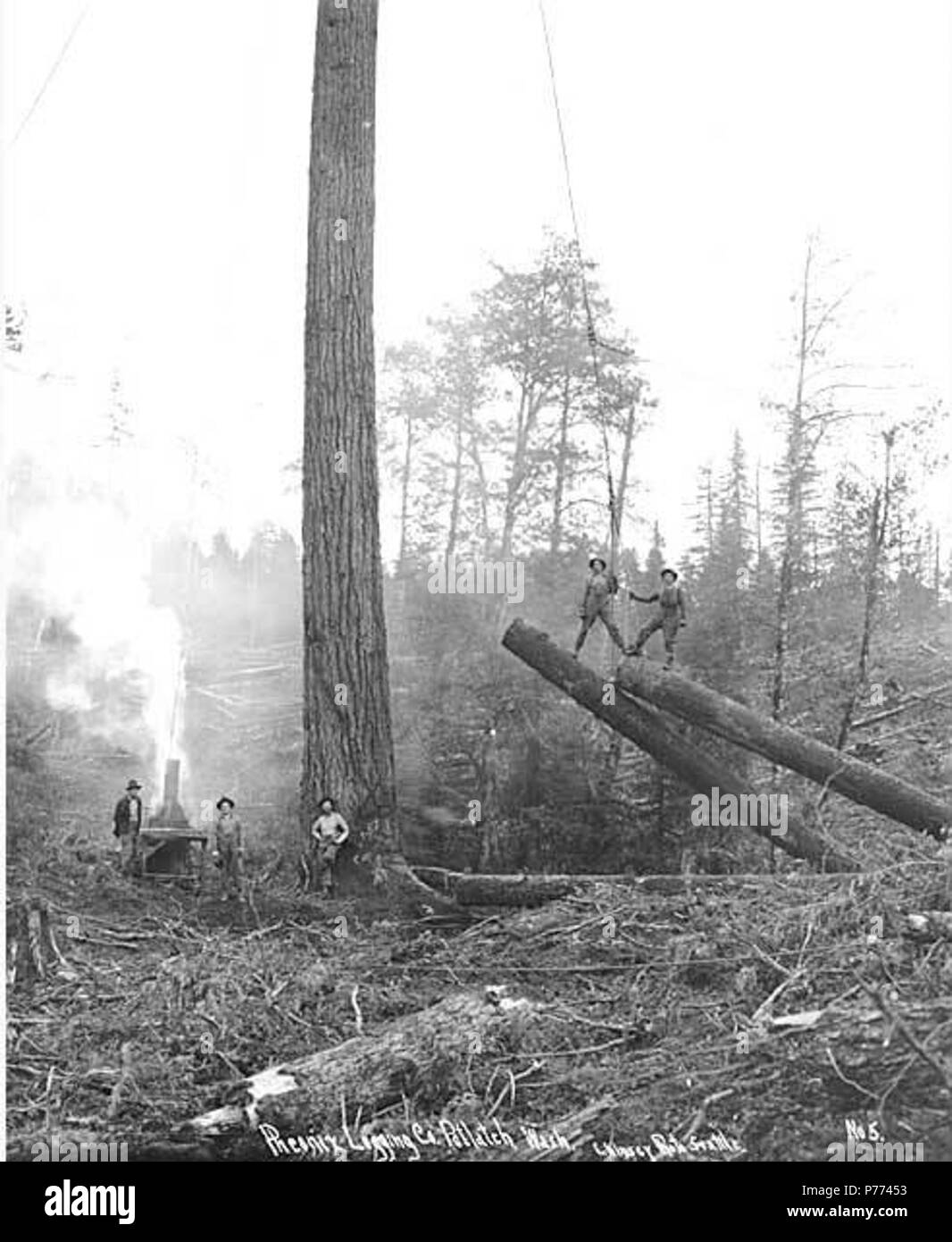 . Inglese: Registrazione equipaggio e yarding e l'operazione di caricamento con un piccolo motore di asino, Phoenix Logging Company, Jay Trattato, ca. 1919 . Inglese: didascalia sull'immagine: Pheonix Logging Co., Jay Trattato, nello Stato di Washington C. Kinsey foto, Seattle. No. 5 PH Coll 516.2685 Phoenix Logging Company è stata incorporata da Sol Simpson e Alfred Anderong nel novembre del 1899. La società è stata costituita per lavorare in legno che si trovano a nord del fiume Skokomish a Mason County, con sede centrale a Seattle e le operazioni di registrazione in base al di fuori del Jay Trattato. Touted come la seconda più grande operazione di registrazione nello stato, la società ha avuto Foto Stock
