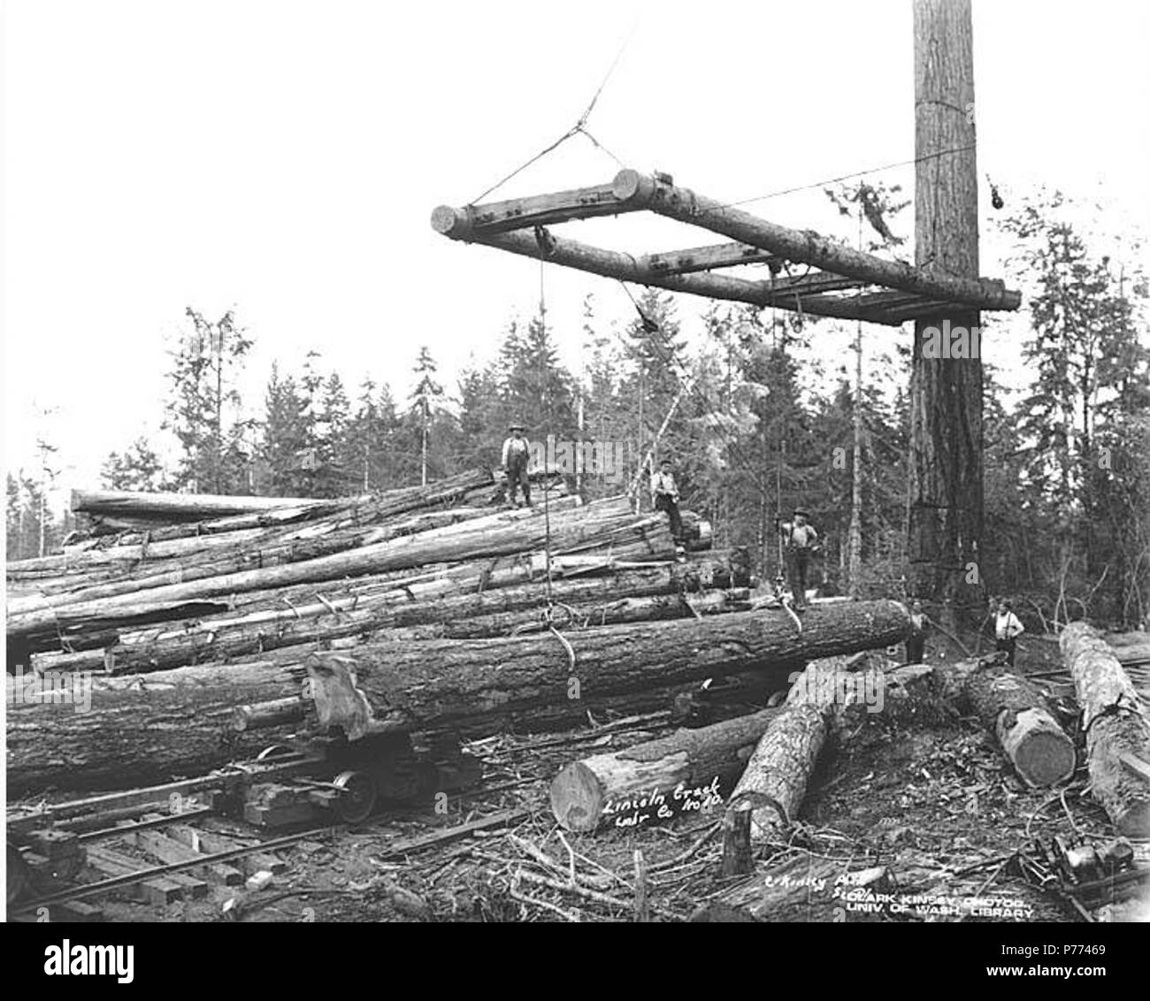 . Inglese: Registrazione equipaggio registri di carico su shop-realizzato scollegato dallo scanner a superficie piana automobili della ferrovia, Lincoln Creek Lumber Company, ca. 1920 . Inglese: didascalia sull'immagine: Lincoln Creek Lmbr Co. C. Kinsey foto, Seattle. No. 10 PH Coll 516.1753 Lincoln Creek legname della Società le operazioni di registrazione sono state in business da ca. 1906 a ca. 1932, con sede a Centralia e operazioni di registrazione in base a Galvin. Galvin è una comunità a quattro miglia a nord-ovest di Centralia vicino al Lincoln Creek nel nord-ovest della contea di Lewis. Il 3 giugno 1910, è stato placcato da Galvin, Teal Company. Nel 1911, è stato chiamato con il nome di John Galvin, il alle Foto Stock