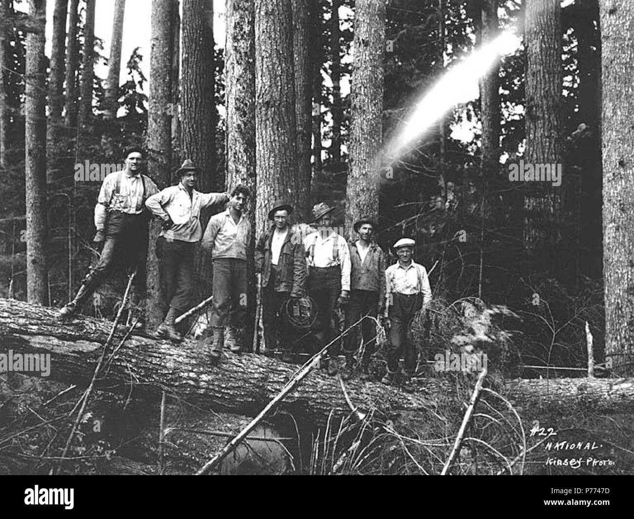 . Inglese: Registrazione equipaggio, legname nazionale e Manufacturing Company, ca. 1920 . Inglese: didascalia sull'immagine: nazionale. Kinsey foto. No. 22 PH Coll 516.2248 National Lumber & Manufacturing Company è stato in attività dal 1920 al 1927, con sede e mulino in Hoquiam e operazioni di registrazione prima di Cedarville e poi, dal 1924, in Elma. Legname nazionale è stata venduta a Polson legname Azienda nel 1927. Cedarville è un piccolo insediamento presso il fiume Chehalis, undici miglia a sudest di Elma, nel sud-est del porto di Gray County. Nel 1855, esso è stato stabilito quando un fortino fu costruito sul terreno secondo la rivendicazione 0 Foto Stock