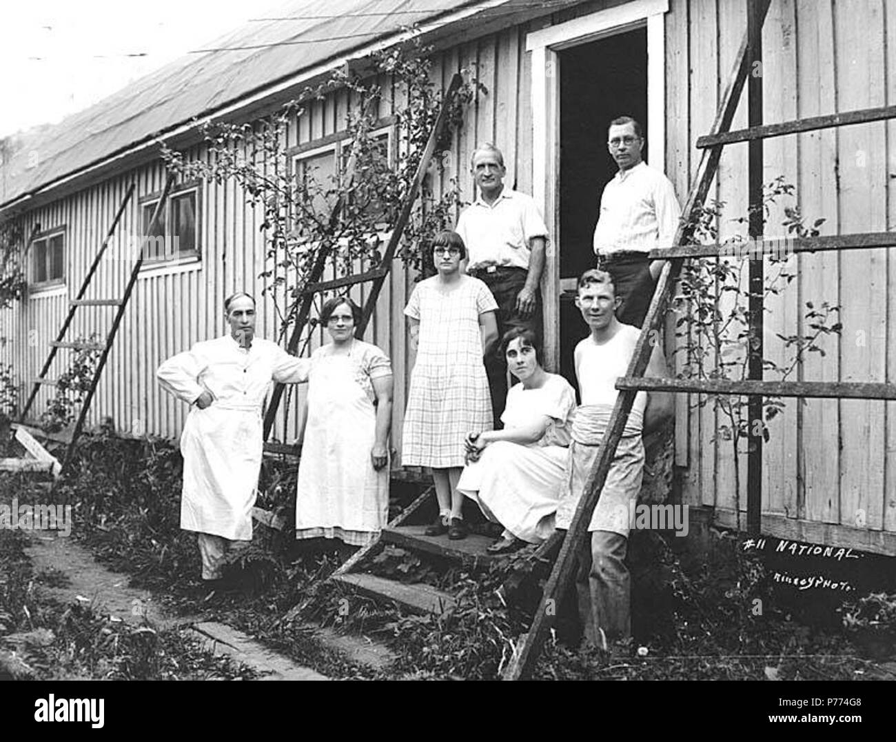 . Inglese: Mess hall equipaggio, legname nazionale e Manufacturing Company, ca. 1920 . Inglese: didascalia sull'immagine: nazionale. Kinsey foto. No. 11 PH Coll 516.2240 National Lumber & Manufacturing Company è stato in attività dal 1920 al 1927, con sede e mulino in Hoquiam e operazioni di registrazione prima di Cedarville e poi, dal 1924, in Elma. Legname nazionale è stata venduta a Polson legname Azienda nel 1927. Cedarville è un piccolo insediamento presso il fiume Chehalis, undici miglia a sudest di Elma, nel sud-est del porto di Gray County. Nel 1855, esso è stato stabilito quando un fortino fu costruito sulla terra rivendicazione Foto Stock