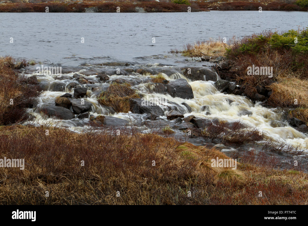 Travel Terranova, Canada. Lungo l'autostrada #470. Paesaggi, paesaggi marini, e cascate, dalla porta AUX PER BASCO ROSE BLANCHE. Foto Stock