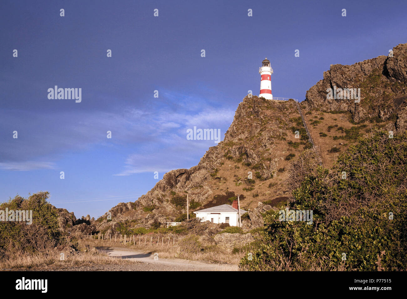 Faro di Cape Palliser a Palliser Bay, Wairarapa, Nuova Zelanda Foto Stock