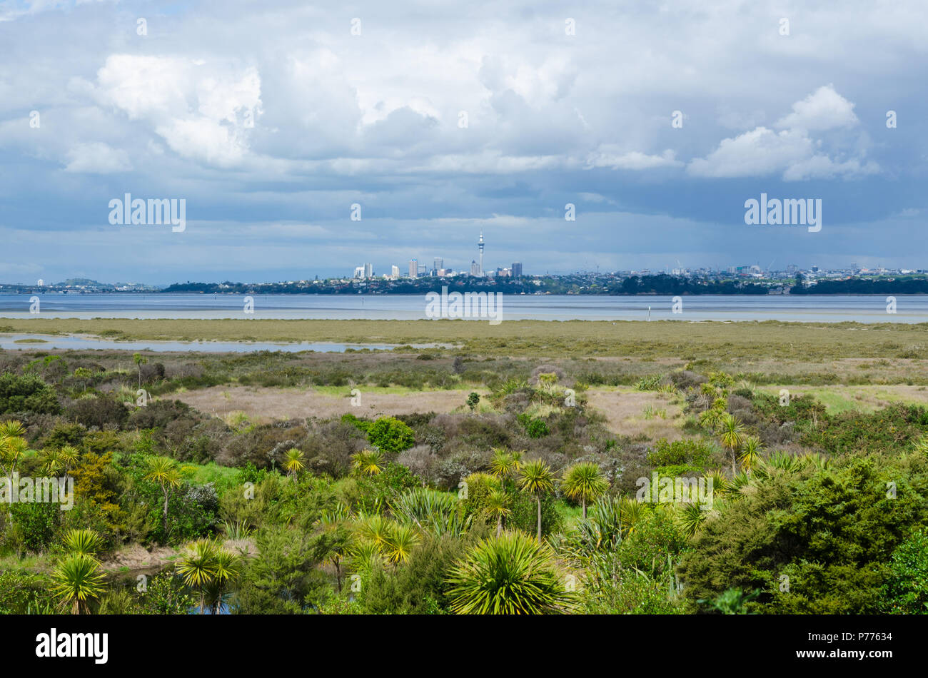 Auckland City vista dal Waitemata salt marsh,Nuova Zelanda. Foto Stock