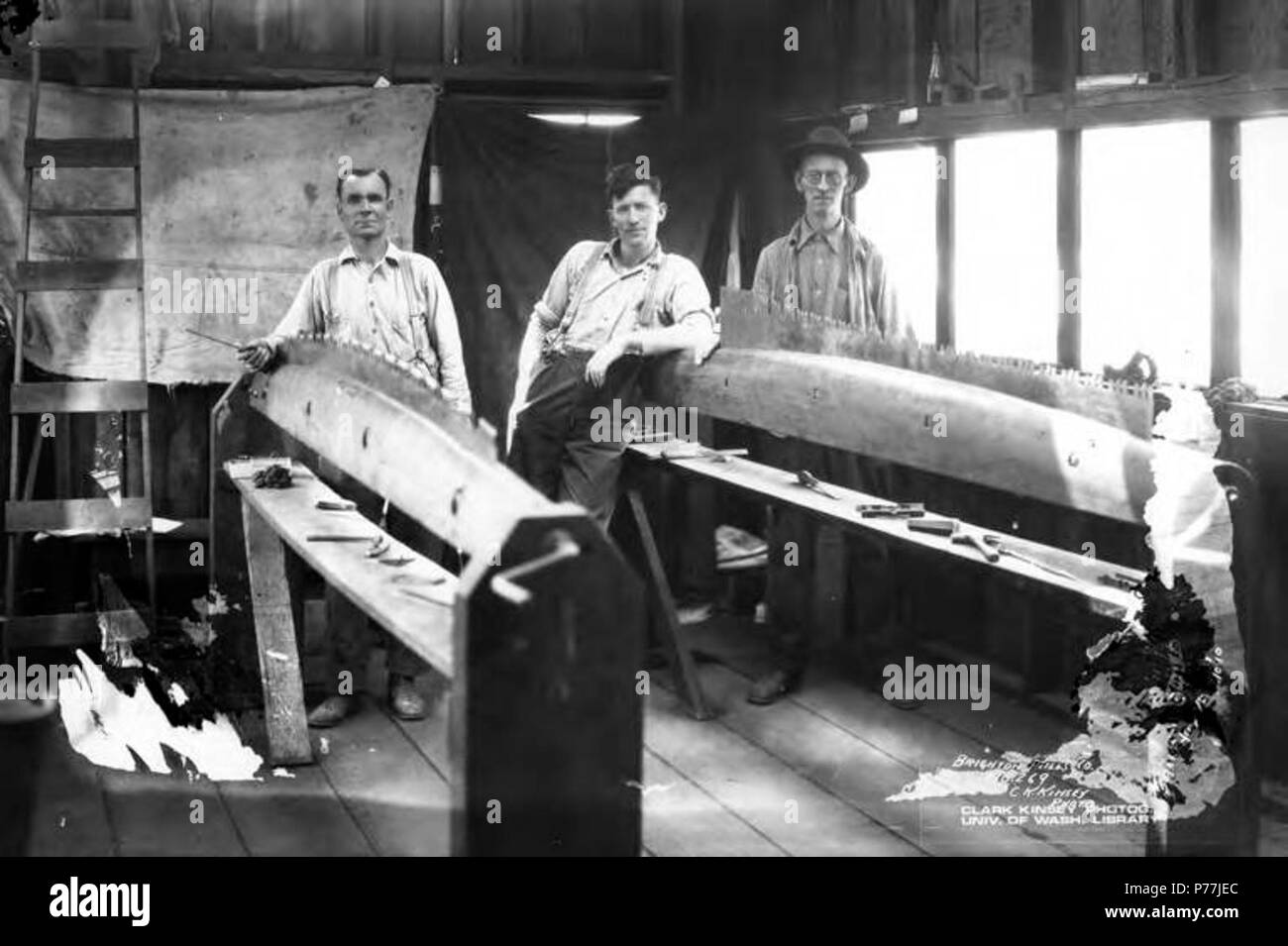 . Inglese: filer di Sega lavorando su seghe, Brighton Mills Company, Brighton, ca. 1922 . Inglese: didascalia sull'immagine: Brighton Mills Co, n. 269 PH Coll 516.248 Brighton è stata fondata nel 1910 ed è stato nominato dopo la località balneare in Inghilterra. Il Brighton Mills Company è stata fondata nel 1911 dai fratelli di watt di Bay City. Il mulino è stato chiuso nel 1926. Soggetti (LCSH): xyz . circa 1922 11 filer di Sega lavorando su seghe, Brighton Mills Company, Brighton, ca 1922 (KINSEY 2148) Foto Stock