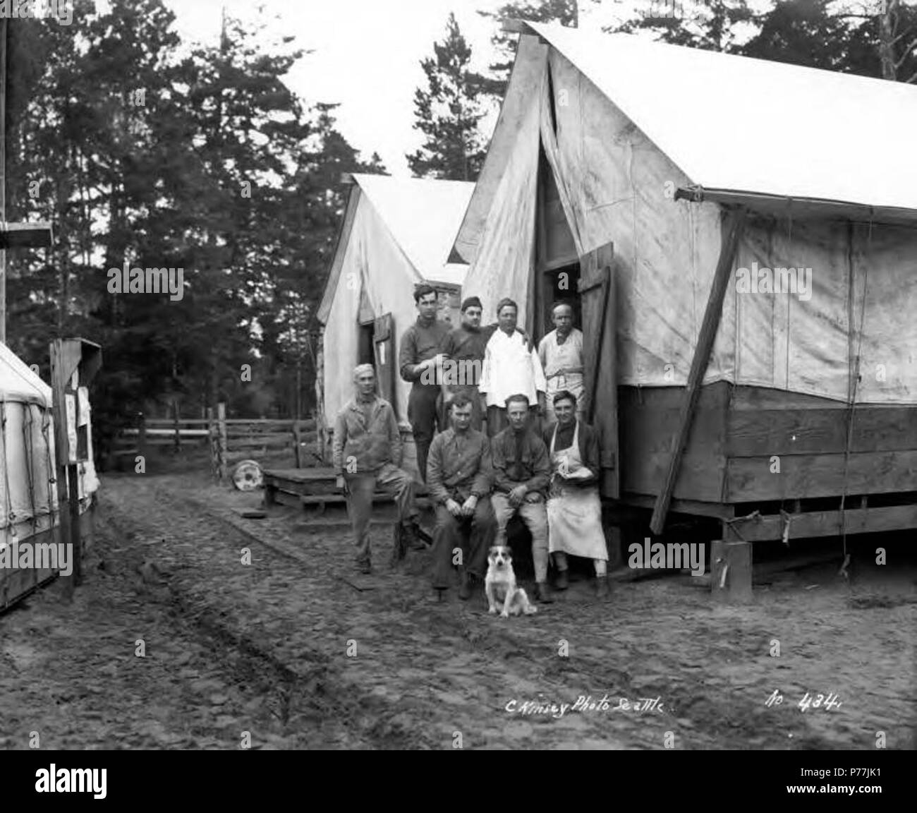 . Inglese: soldati poste accanto alla tenda con il cane, Warren Società di abete, ca. 1918 . Inglese: didascalia sull'immagine: n. 434 PH Coll 516.5475 durante la I Guerra Mondiale, il governo degli Stati Uniti ha creato l'Abete rosso Divisione Produzione nel nord-ovest del Pacifico al fine di ottenere rapidamente accedere a abete rosso per essere utilizzato nella costruzione di aeroplani. La produzione di abete Divisione è stata creata in risposta ad una carenza di manodopera nel nord-ovest a causa di uno sciopero di legname nel 1917 ha portato dai lavoratori internazionali del mondo. Il tenente colonnello Brice P. Disque è stata messa in carica della fatica, che utilizzato sia civili Foto Stock