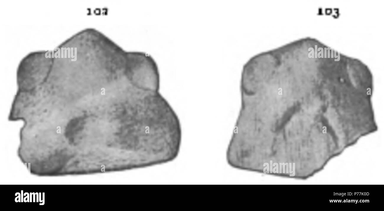 Il Eurypterida di New York. Il volume 1. Museo Statale di New York Memoir 14, Figure 102, 103 . 1912 13 La Eurypterida di New York figura 102-103 Foto Stock