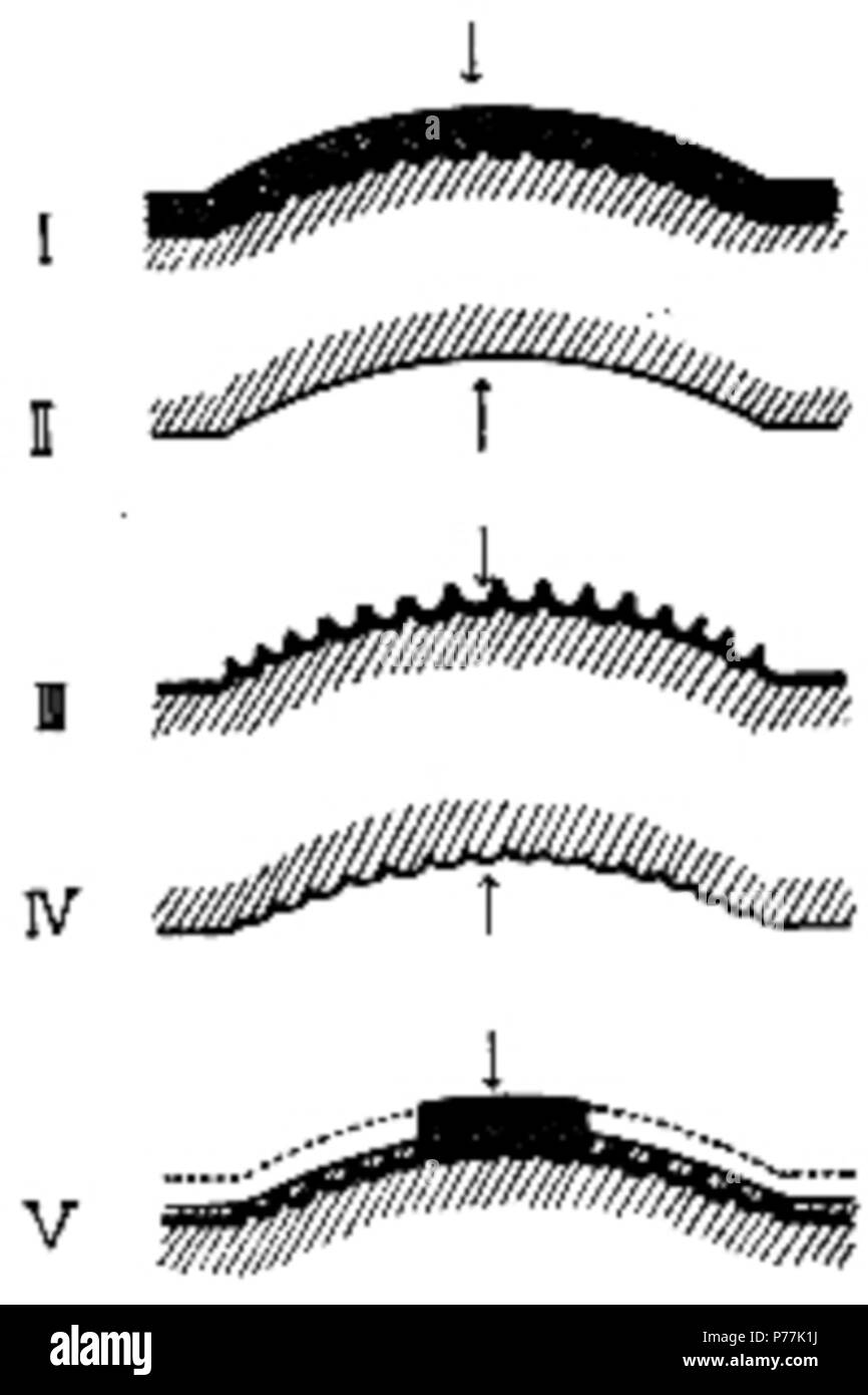 Il Eurypterida di New York. Il volume 1. Museo Statale di New York Memoir 14, Figura 7 . 1912 13 La Eurypterida di New York la figura 7 Foto Stock