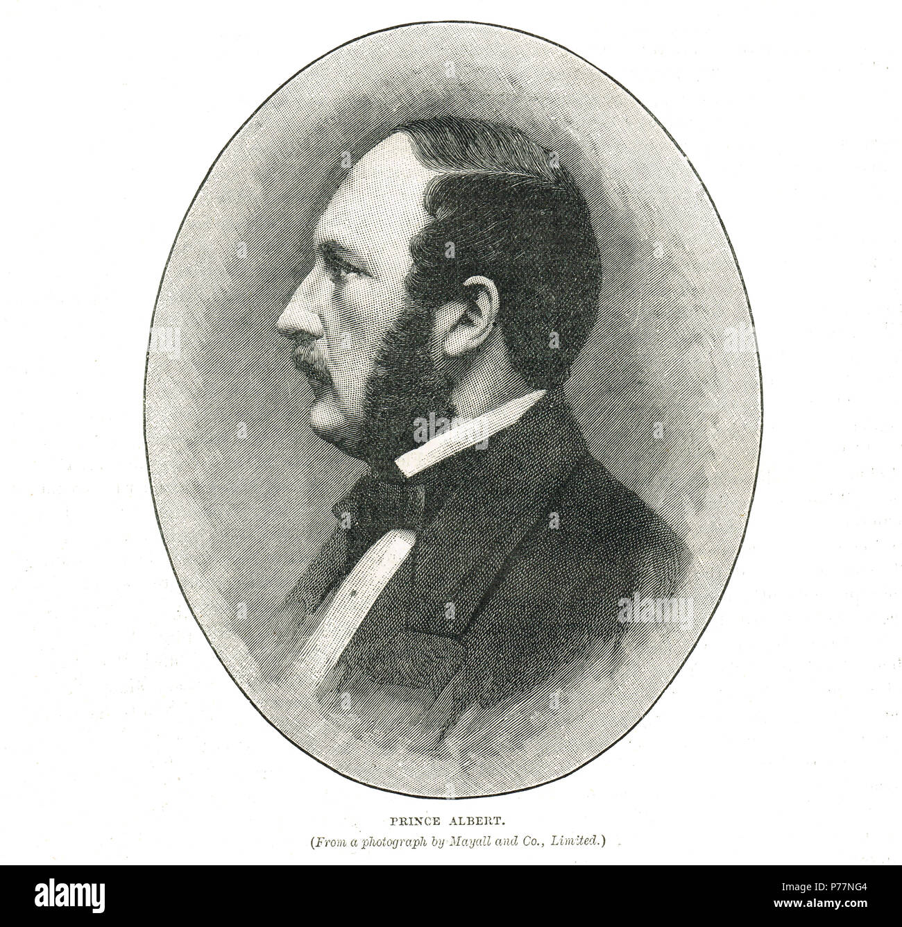 Prince Albert, consorte della regina Victoria Foto Stock