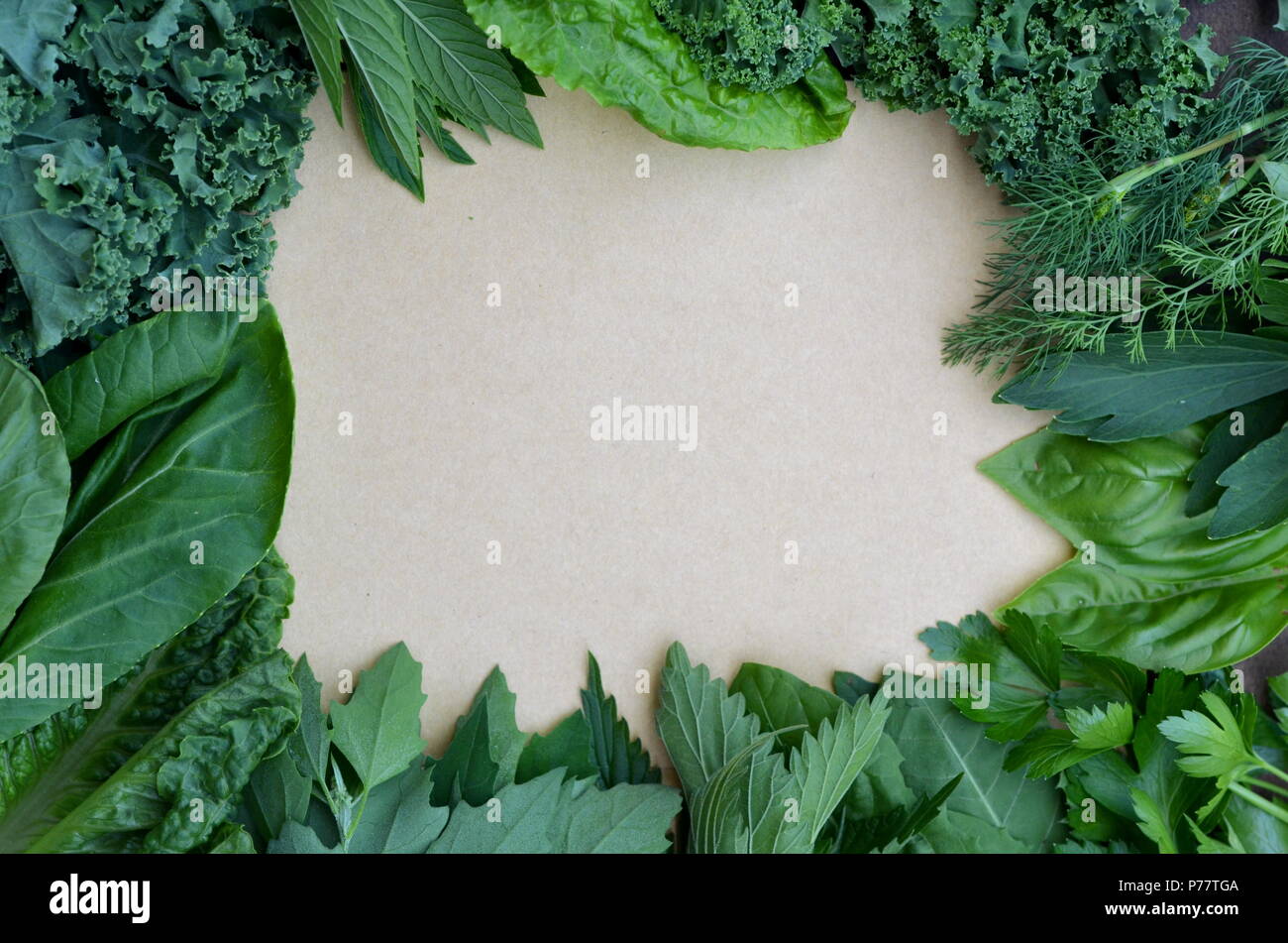 Vista superiore disposizione piatta di fresche erbe culinarie e le verdure a foglia verde con copia spazio. Sfondo per la nutrizione, alimentare, la salute, la dieta e la perdita di peso. Foto Stock