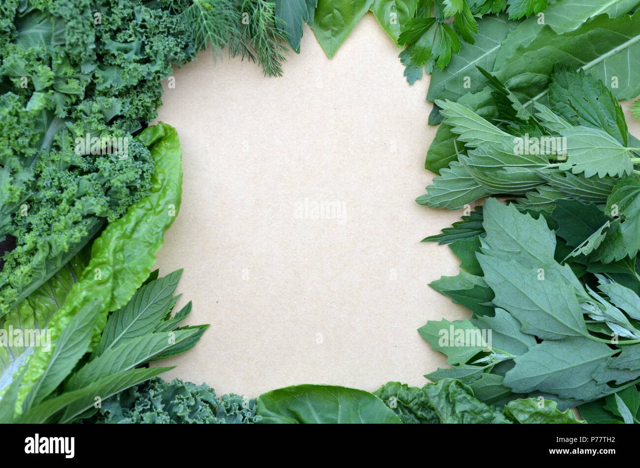 Vista superiore disposizione piatta di fresche erbe culinarie e le verdure a foglia verde con copia spazio. Sfondo per la nutrizione, alimentare, la salute, la dieta e la perdita di peso. Foto Stock