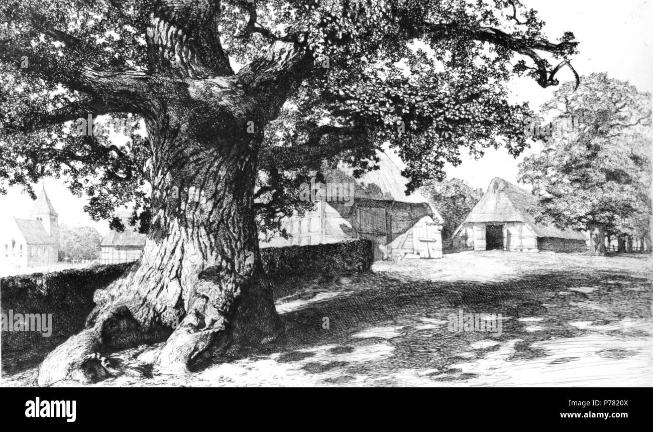 14 Georg Müller vom Siel-Dötlingen mit alter Eiche Foto Stock