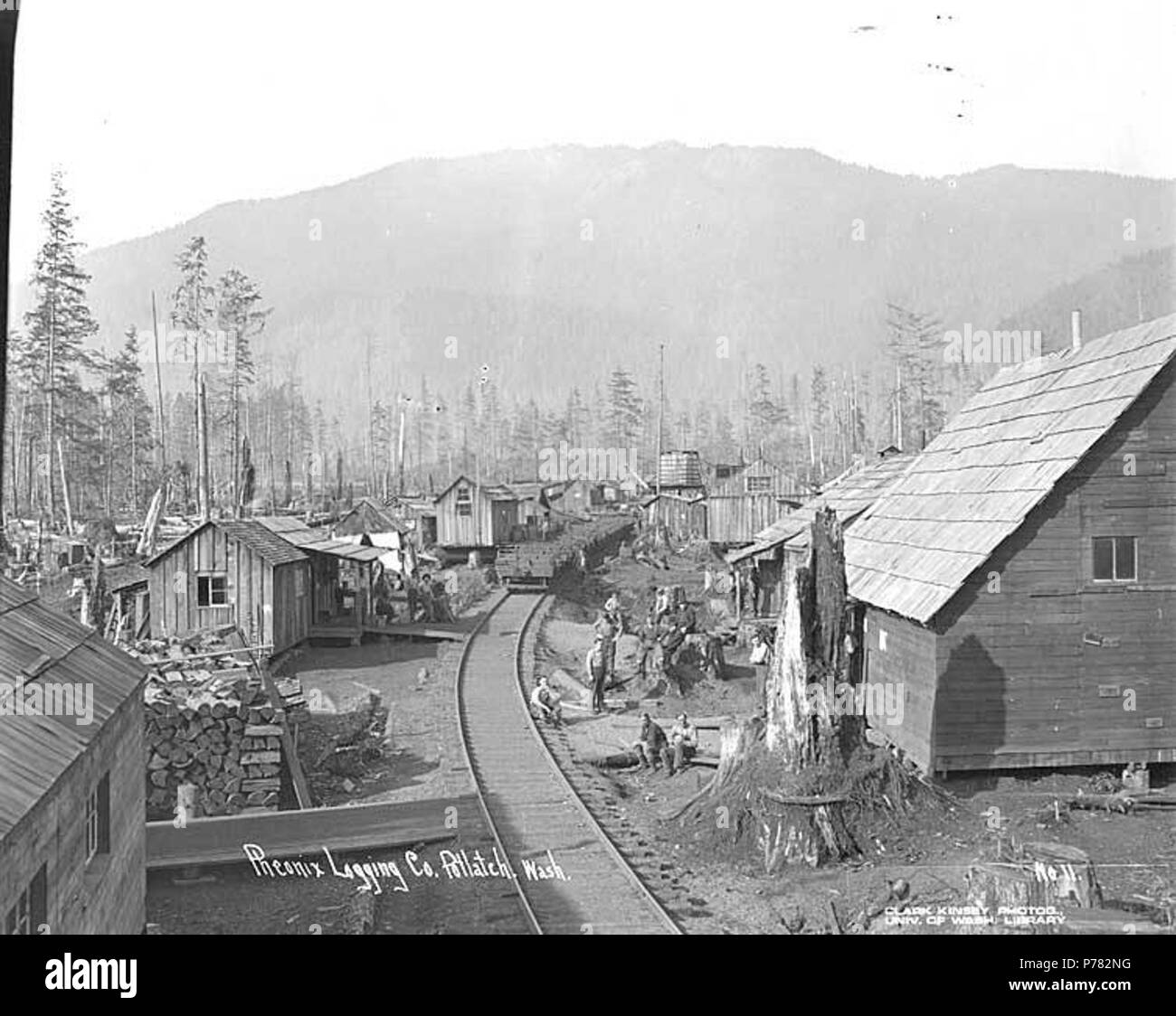 . Inglese: Phoenix Logging Company's camp n. 1, vicino al lago di prezzo, ca. 1919 . Inglese: didascalia sull'immagine: Pheonix Logging Co., Jay Trattato, nello Stato di Washington No. 11 PH Coll 516.2701 Phoenix Logging Company è stata incorporata da Sol Simpson e Alfred Anderong nel novembre del 1899. La società è stata costituita per lavorare in legno che si trovano a nord del fiume Skokomish a Mason County, con sede centrale a Seattle e le operazioni di registrazione in base al di fuori del Jay Trattato. Touted come la seconda più grande operazione di registrazione nello stato, la società ha avuto un avvio lento. La registrazione è stata avviata con cavalli su skid strade; quindi i log w Foto Stock
