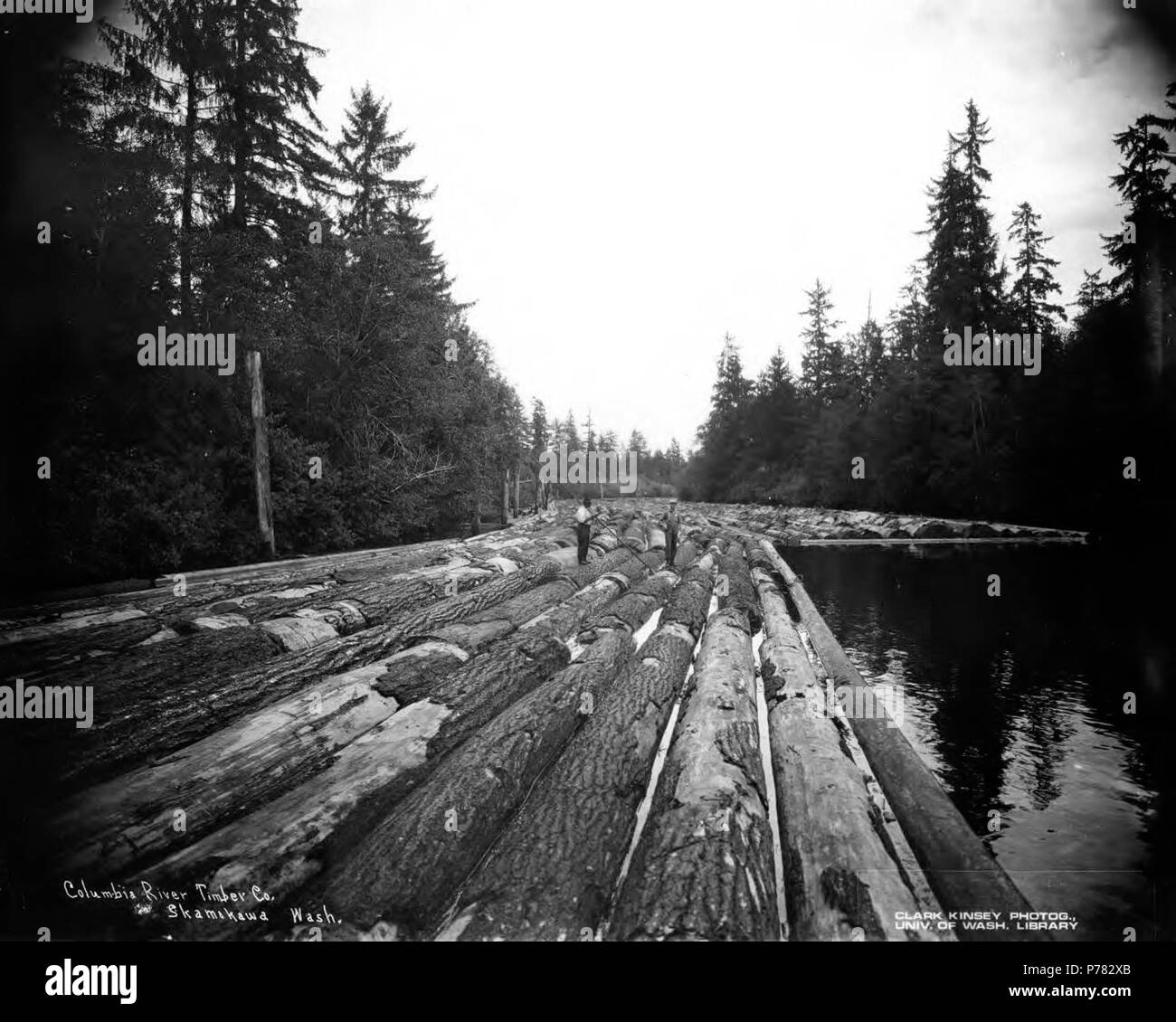 . Inglese: registri di Rafting sul fiume, Columbia River Timber Company, Skamokawa, ca. 1918 . Inglese: Il Columbia River Timber Company aveva sede a Portland, Oregon, e campi di Goble, Oregon, Skamokawa e Yacolt, Washington. Didascalia sulla immagine: Columbia River legname Co, Skamokawa Washington. PH Coll 516.722 Columbia River Timber Company operati nei primi anni del ventesimo secolo in Columbia River basin area con campi in Goble di contea Columbia, Yacolt della contea di Clark e Skamokawa di Wahkiakum County. Goble era una fermata sulla Goble, Nehalem & Pacific Railway. Soggetti (LCSH): xyz . circa Foto Stock