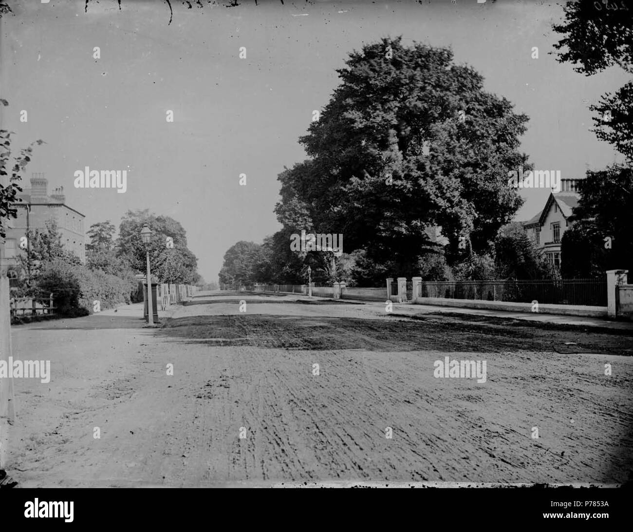 Inglese: Bath Road, Reading, guardando verso ovest, c. 1875. Sul lato nord, n. 16, 'Dunedin,' è riconoscibile. 1870-1879 ; negativo di vetro da H. W. Taunt, la casella 22 n. 2480. 1875 10 Bath Road, Reading, guardando verso ovest, c. 1875 Foto Stock
