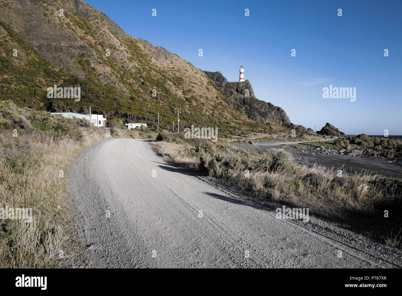 Faro di Cape Palliser a Palliser Bay, Wairarapa, Nuova Zelanda Foto Stock
