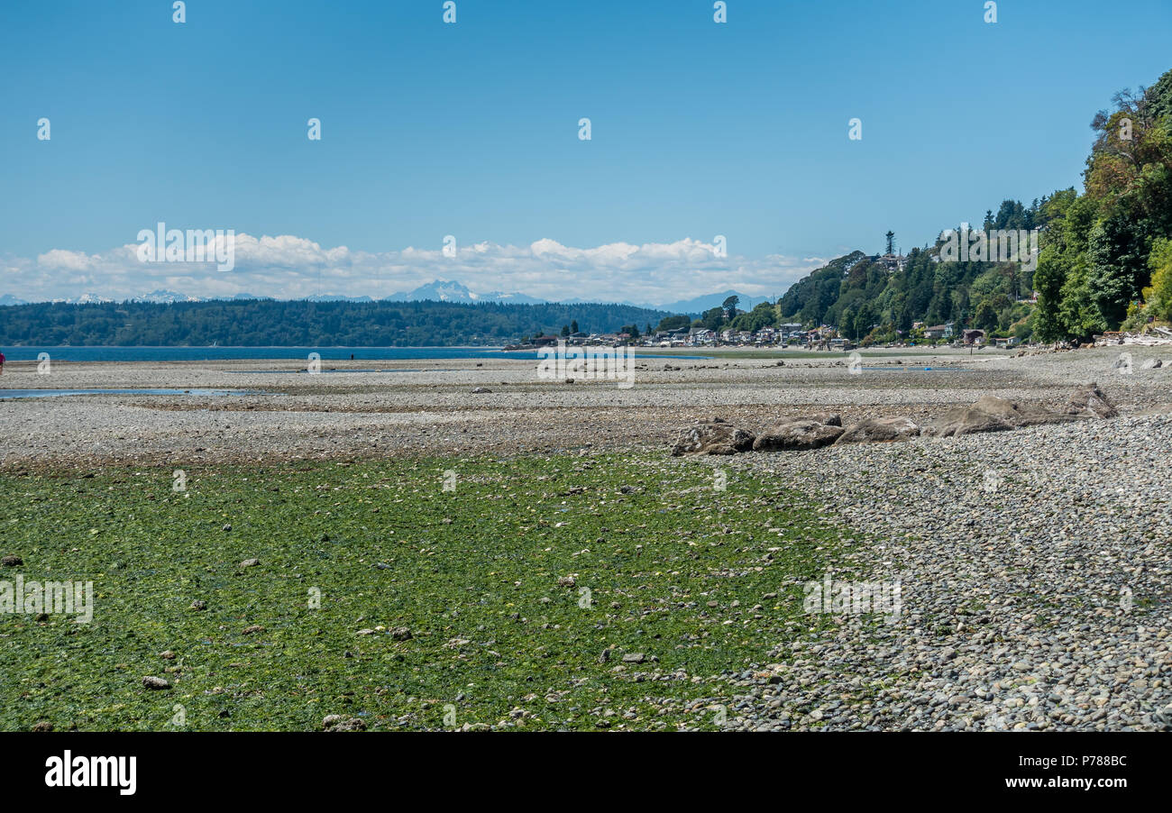 La marea è estremamente basso al parco della Normandia, Washington. Foto Stock