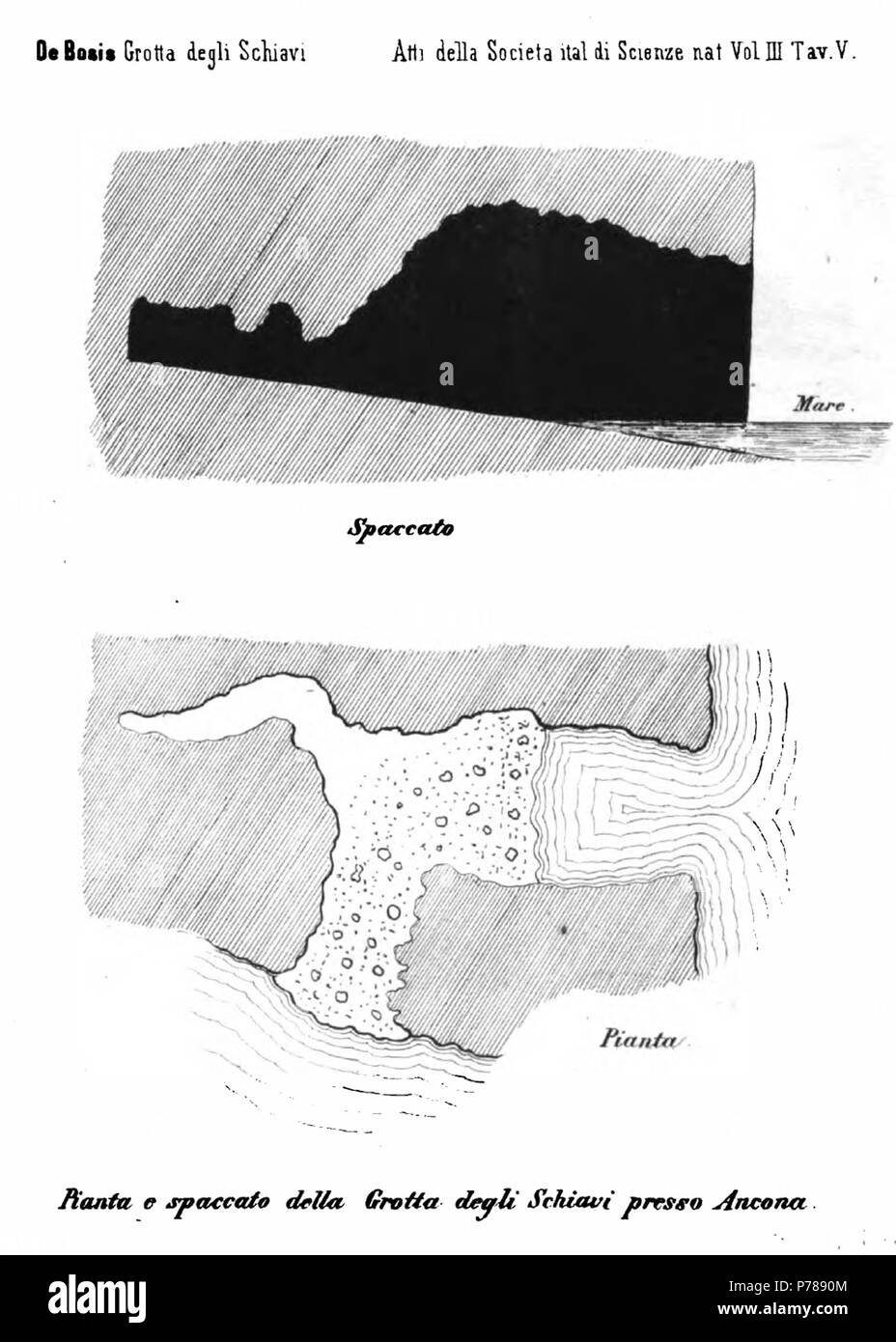 35 Grotta degli schiavi, Monte Conero, spaccato Foto Stock