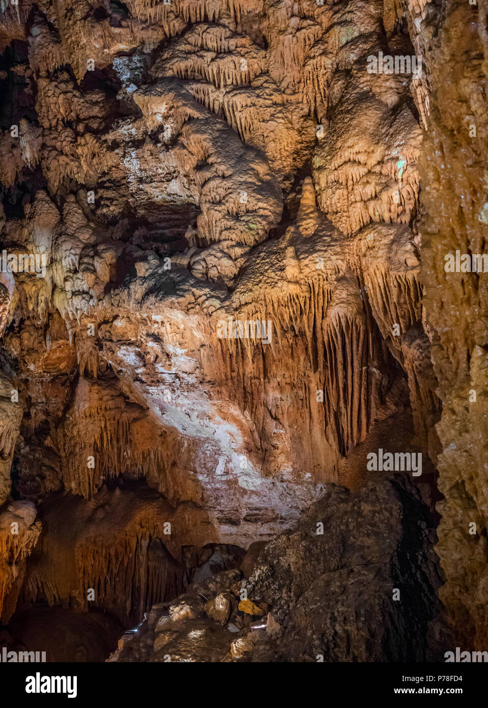 La Jama Baredine, grotta stalattitica, Nova Vas, Parenzo in Istria, Croazia, Europa Foto Stock