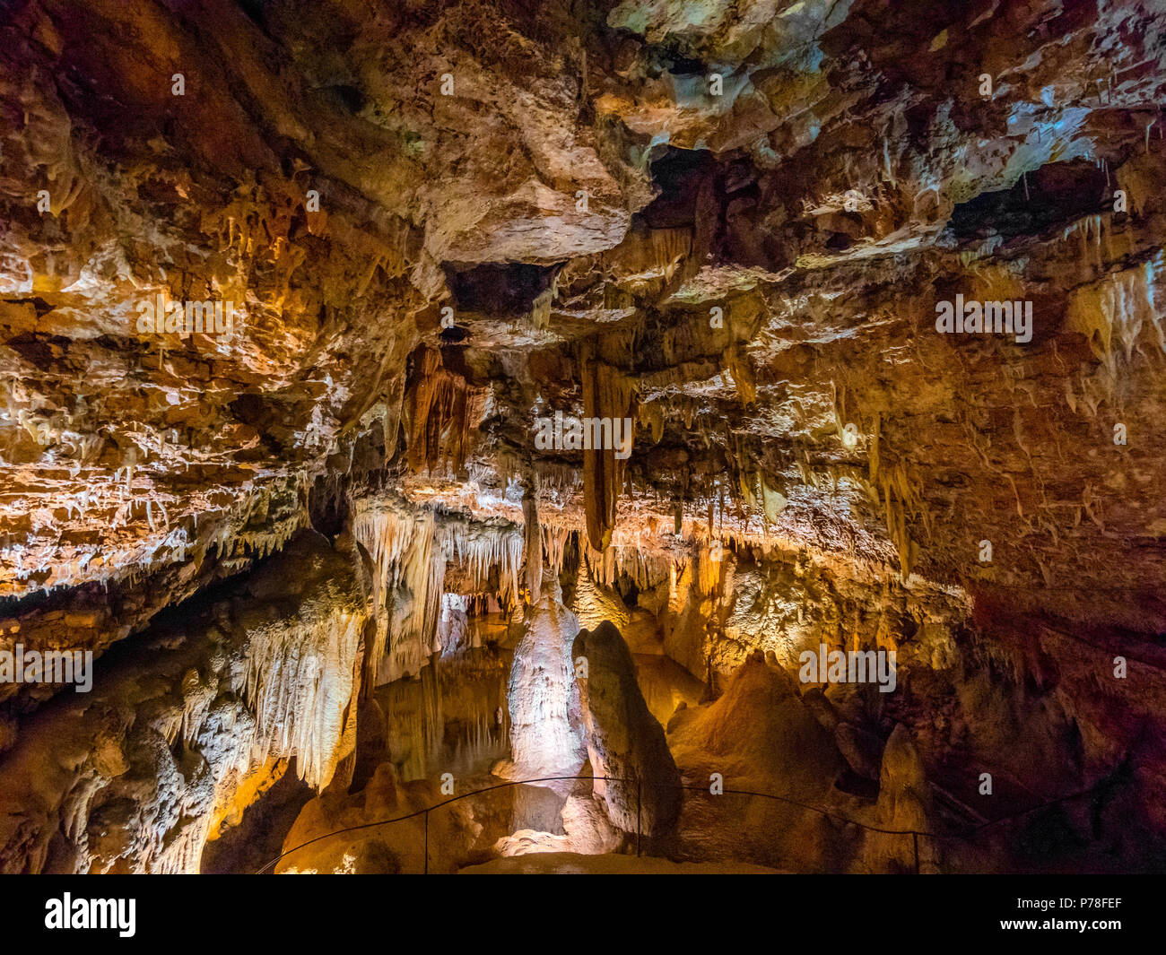 La Jama Baredine, grotta stalattitica, Nova Vas, Parenzo in Istria, Croazia, Europa Foto Stock
