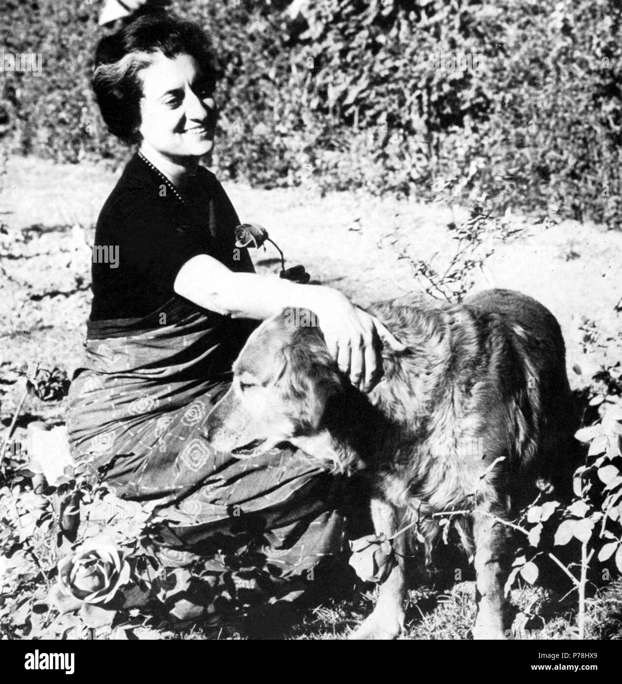 Indira Gandhi (1917-1984), política india, hija de Jawaharlal Nehru, participante activa en la lucha por la independencia de su país. Foto Stock