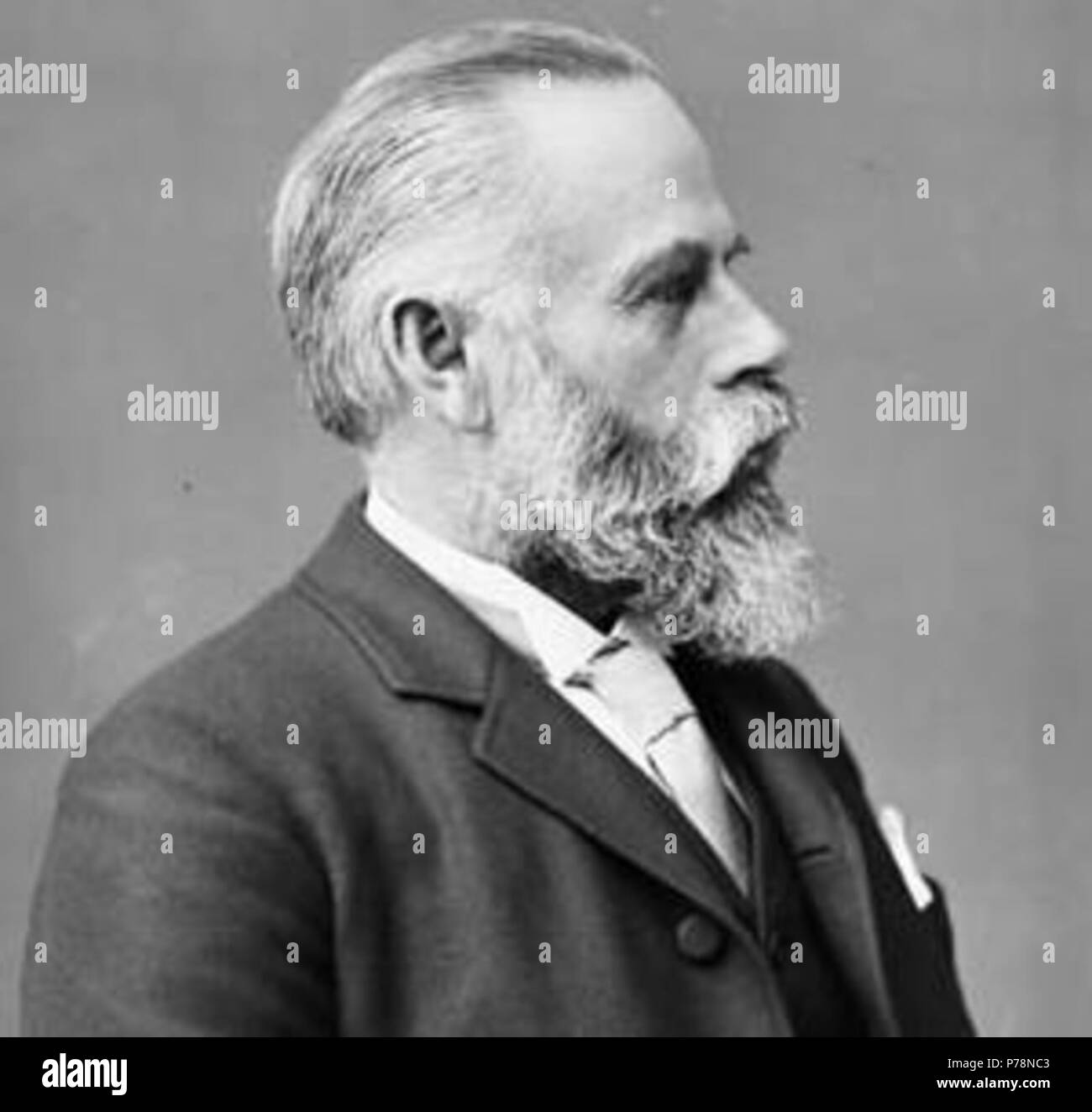 L'on. Erskine Henry Bronson, (Presidente, Bronsons e Weston Lumber Company) e (Ministro senza portafoglio, Governo di Ontario) . Gennaio 1895 / Ottawa, Ont. 4 ErskineHenryBronson23 Foto Stock