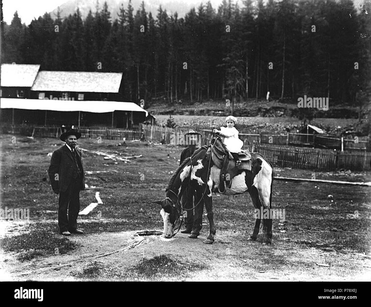 . Inglese: Elcaine Longmire, il fratello David e il nipote seduto su un cavallo, Longmire molle, il Parco Nazionale del Monte Rainier, Washington, ca. 1907 . Inglese: eventualmente il Longmire Hotel in background . Sul manicotto del negativo: Longmire. Vecchio Spot. Elcaine e David Longmire e nipote a cavallo soggetti (LCTGM): famiglie--Washington (stato)--Mount Rainier National Park; Ragazzi--Washington (stato)--Mount Rainier National Park; cavalli--Washington (stato)--Mount Rainier National Park; Gruppo ritratti soggetti (LCSH): Longmire, Elcaine; Longmire, David; Mount Rainier National Park (Washington); Longmir Foto Stock