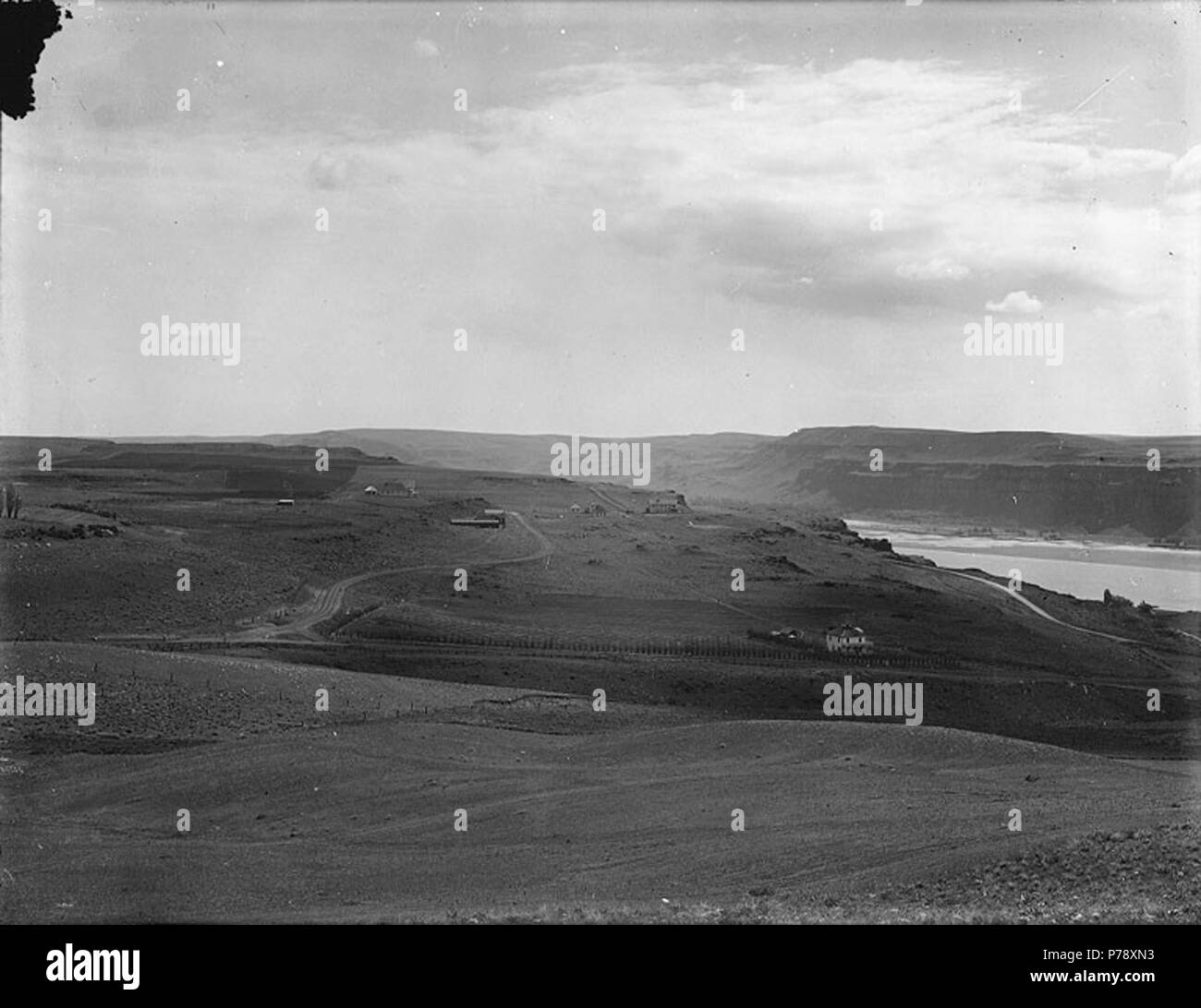 . Inglese: terreni agricoli, la prossimità di Maryhill, Columbia River, Washington . Inglese: sul manicotto di negativo: Columbia River dalla collina soggetti (LCTGM): Fiumi--Washington (stato); Croplands--Washington (stato)--Maryhill soggetti (LCSH): Columbia River . circa 1913 20 Terreni agricoli, la prossimità di Maryhill, Columbia River, Washington (BAR 272) Foto Stock