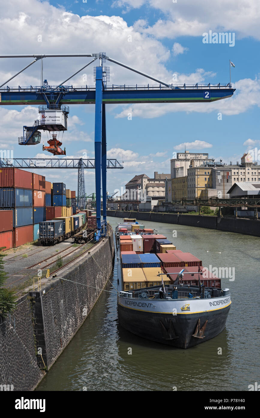 Contenitore caricamento in un contenitore gru movimentazione in oriente Harbour, Francoforte, Germania Foto Stock