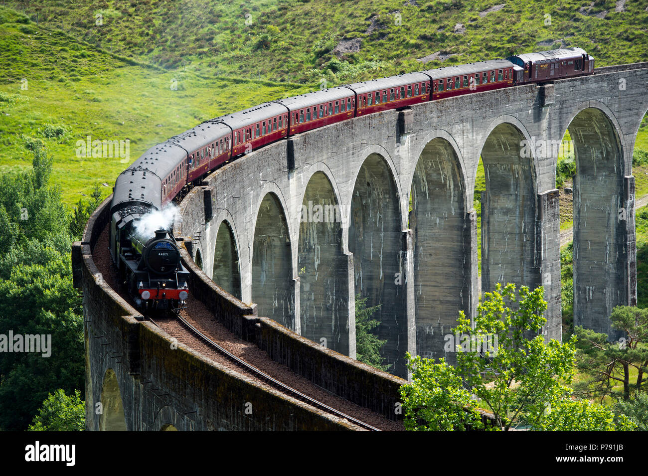 Il Giacobita Express conosciuta anche come la scuola di Hogwarts Express percorre il viadotto Glenfinnan sul percorso tra Fort William e Mallaig. Foto Stock