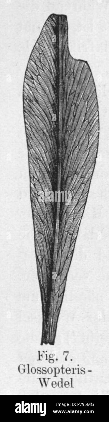 Figura aus Die Klimate der geologischen Vorzeit . 1924 8 DKdgV Figura 7 Foto Stock