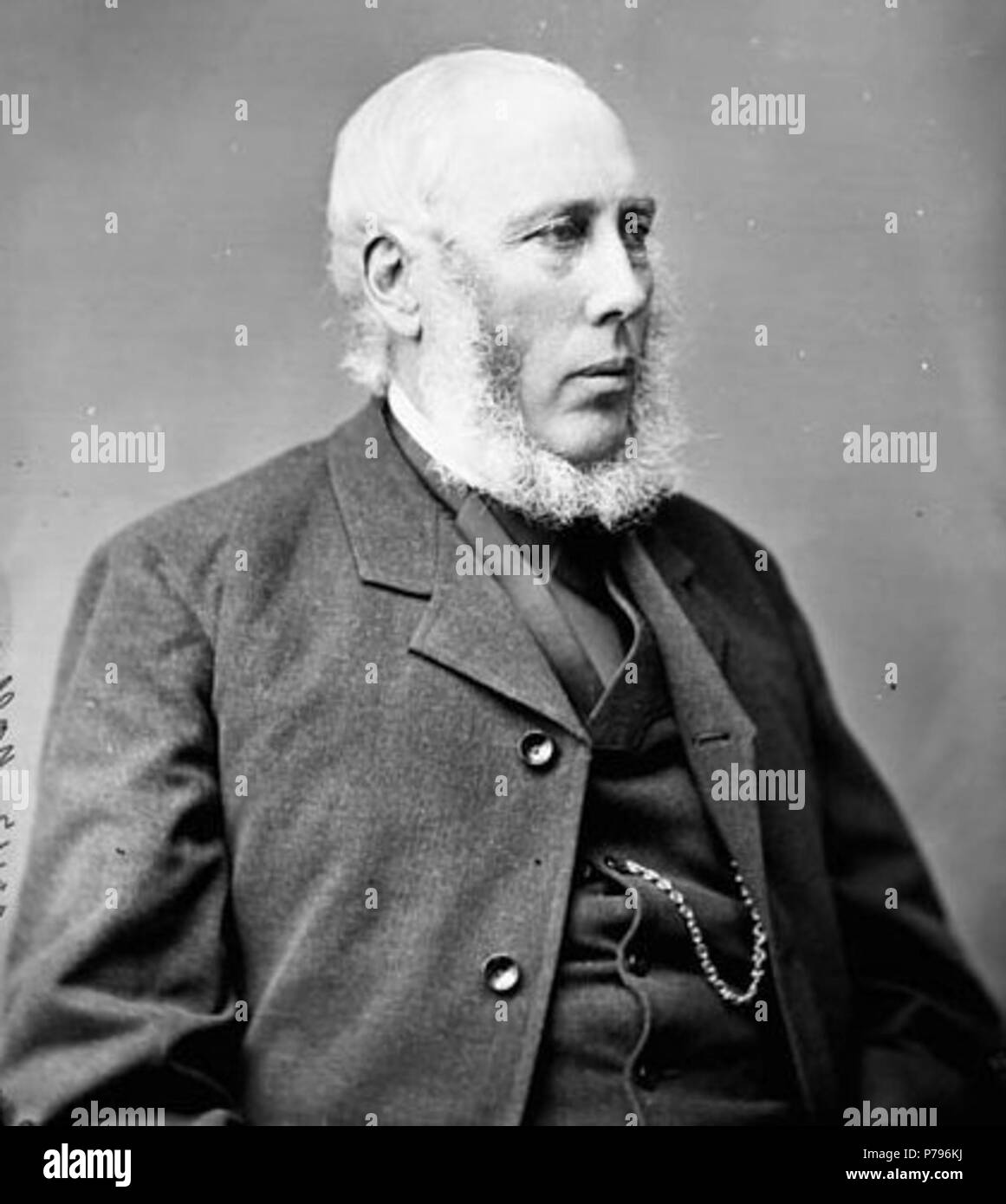 Wallace, William p.f. (Norfolk S., Ont.) Febbraio 4, 1820 - 1887 . Aprile 1879 17 William Wallace MP Foto Stock