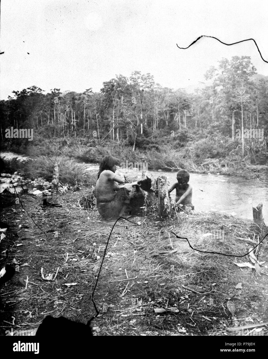 153 Kvinna plockar en fågel. Rio Chaspa, biflod fino al Rio Inambari. Sydamerika, Rio Chaspa. Perù - SMVK - 002515 Foto Stock 153 Kvinna plockar en fågel. Rio Chaspa, biflod fino al Rio Inambari. Sydamerika, Rio Chaspa. Perù - SMVK - 002515 Foto Stock
