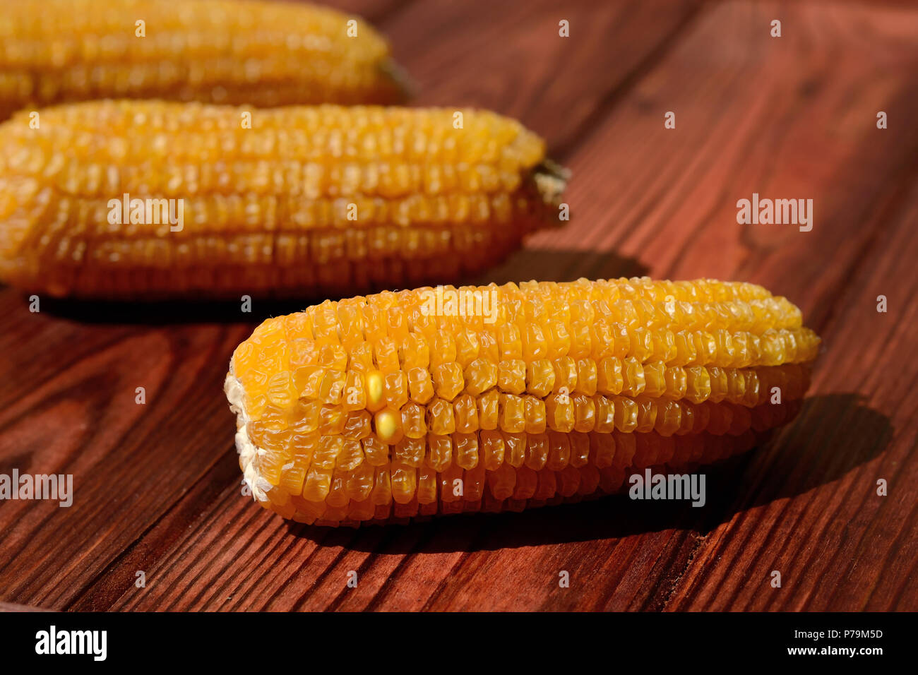 Il mais dell'ultimo raccolto giacciono su un sfondo di legno Foto Stock