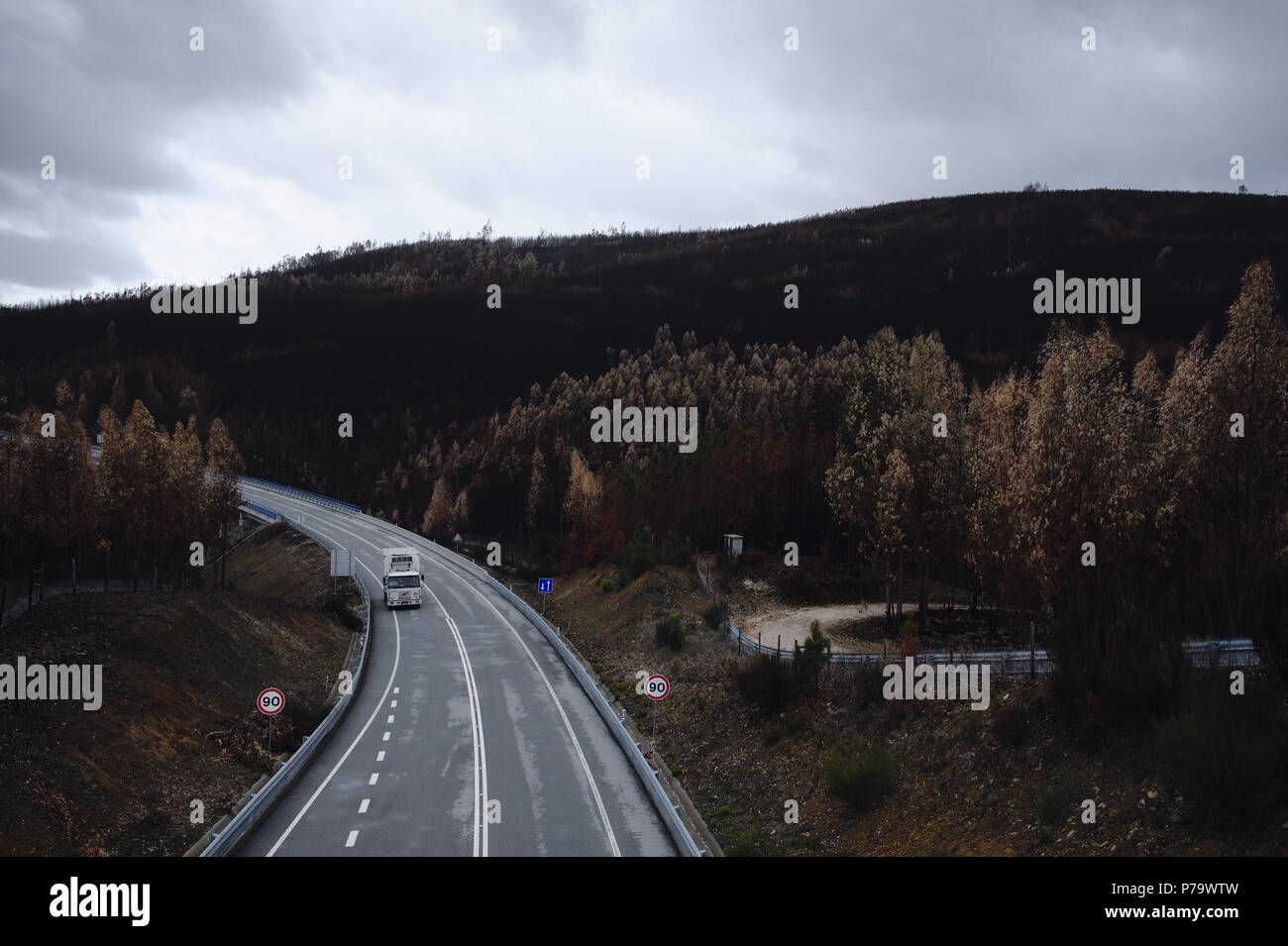 L'estate ha superato nelle regioni centrali del Portogallo e l'inverno è arrivato dopo la wilfires distruttiva che ha distrutto grandi aree di foresta. Foto Stock