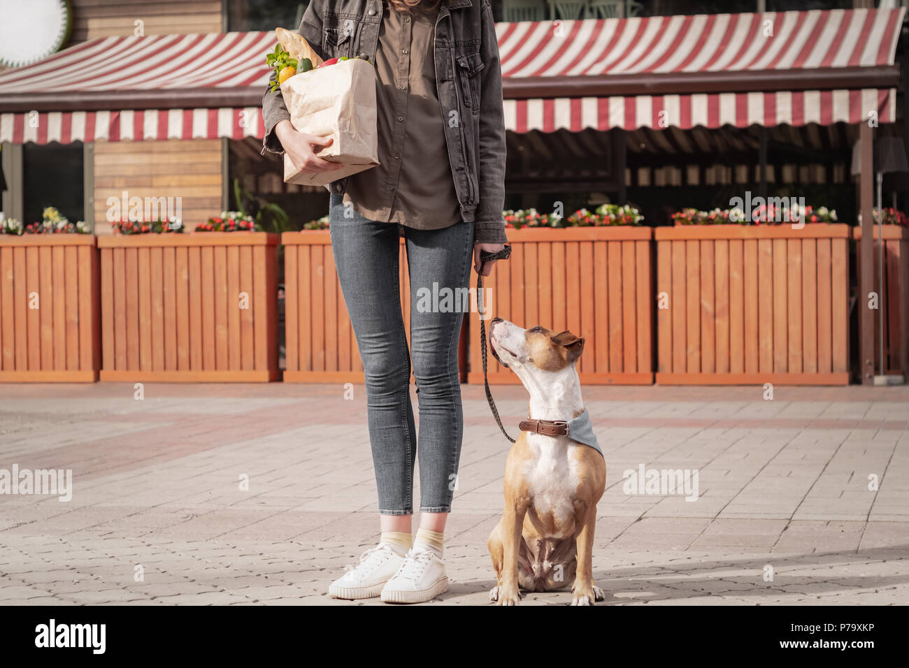 Andare al negozio di alimentari con cane addestrato. Giovane donna graziosa con Pitbull Terrier cucciolo detiene il sacchetto di carta di generi alimentari nella parte anteriore del posto di mercato o vegeta Foto Stock