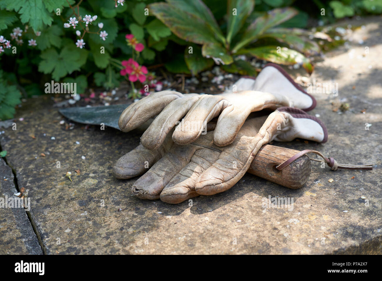 In pelle guanti da giardinaggio e un di legno trattati giardinaggio frattazzo su una parete del giardino in estate, UK. Foto Stock