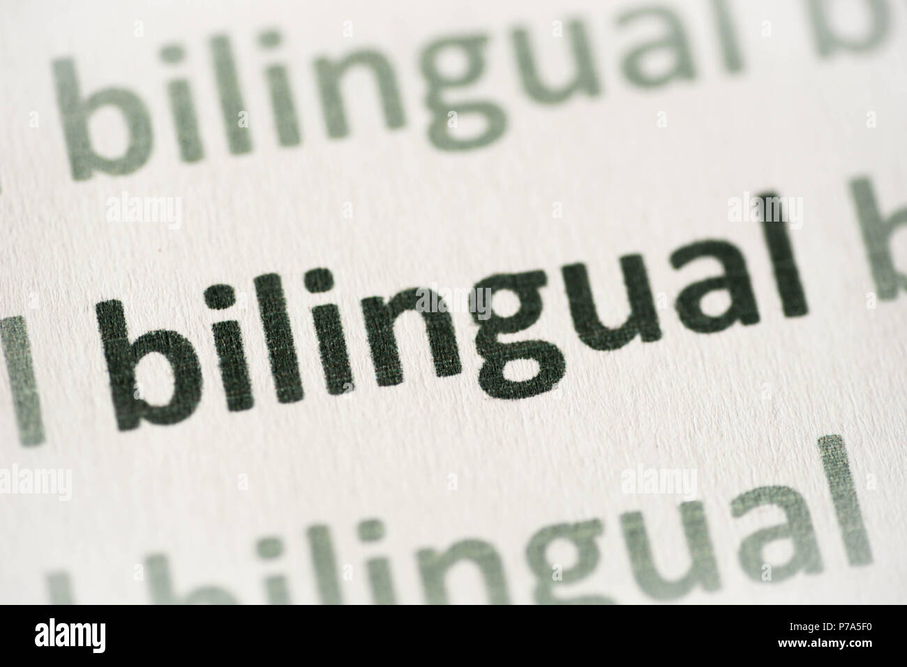 Parola bilingue stampato su carta bianca macro Foto Stock